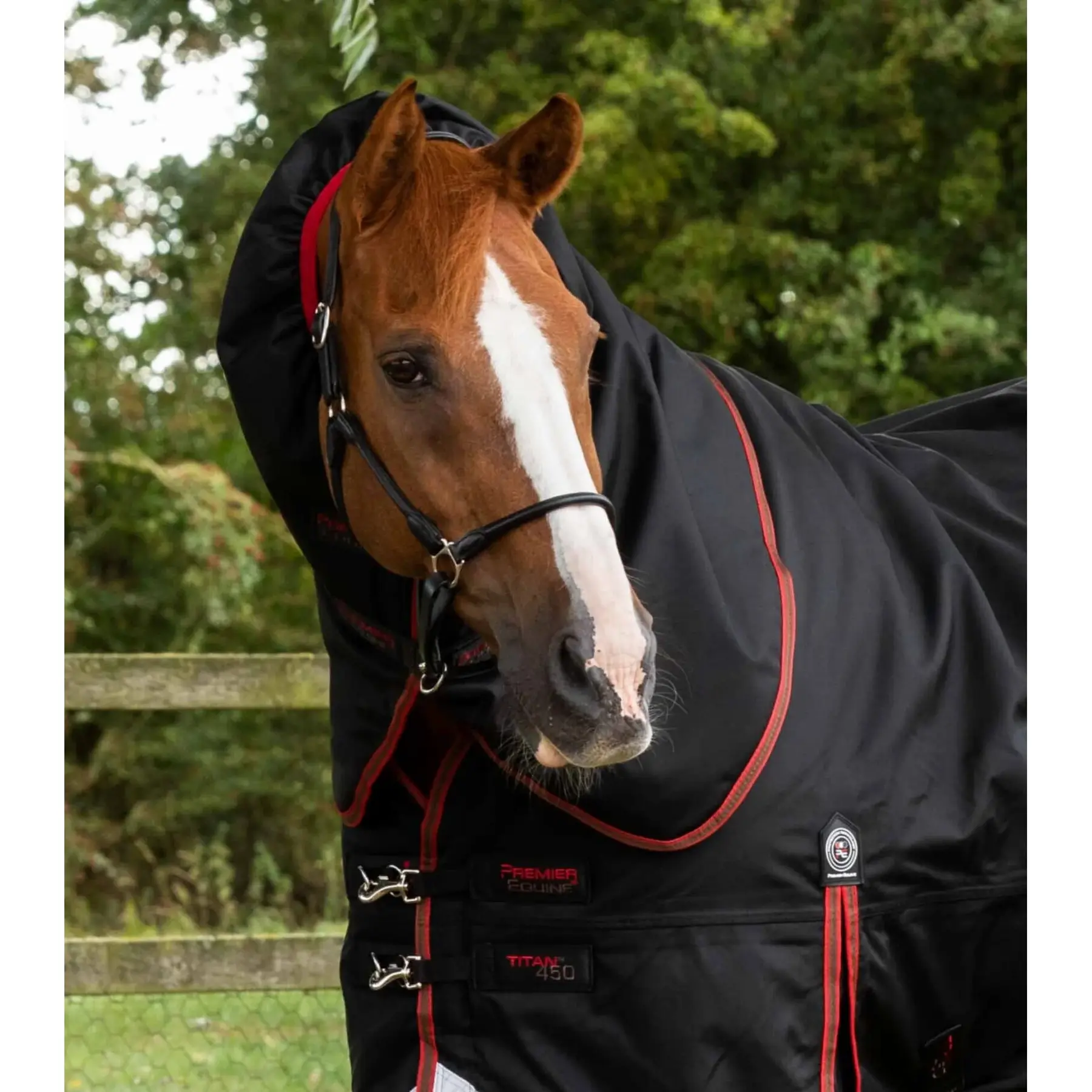 product/p/r/premier-equine_200150b_2.jpg