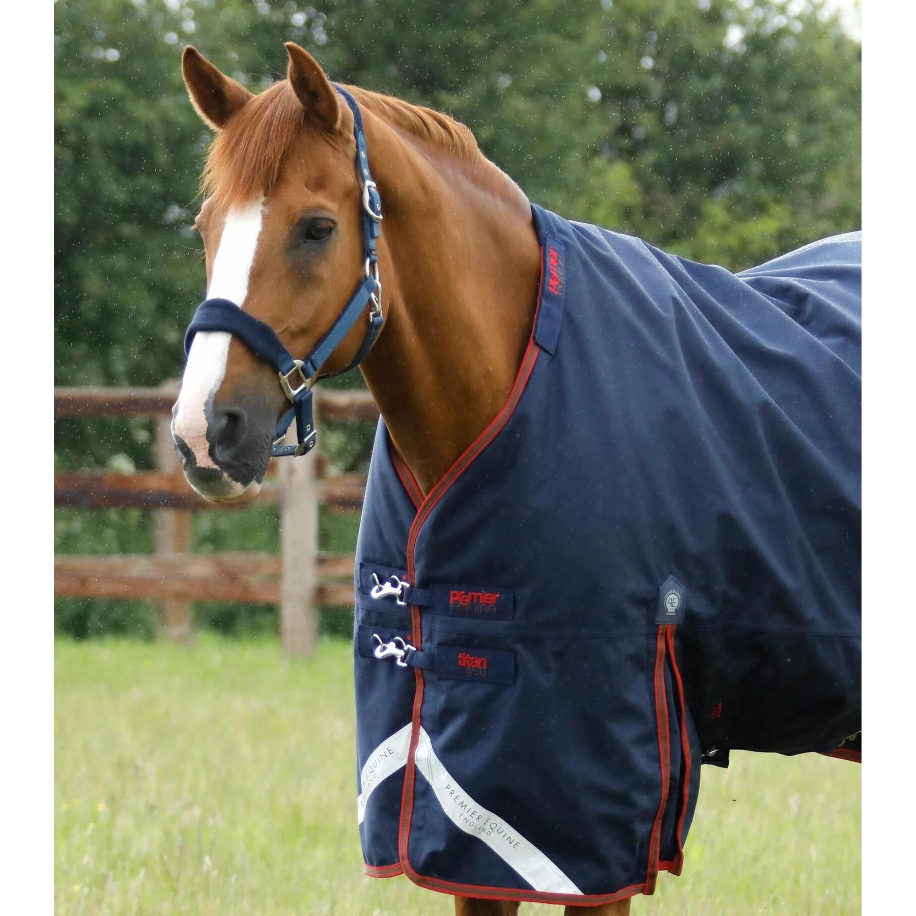 product/p/r/premier-equine_200150n_2.jpg
