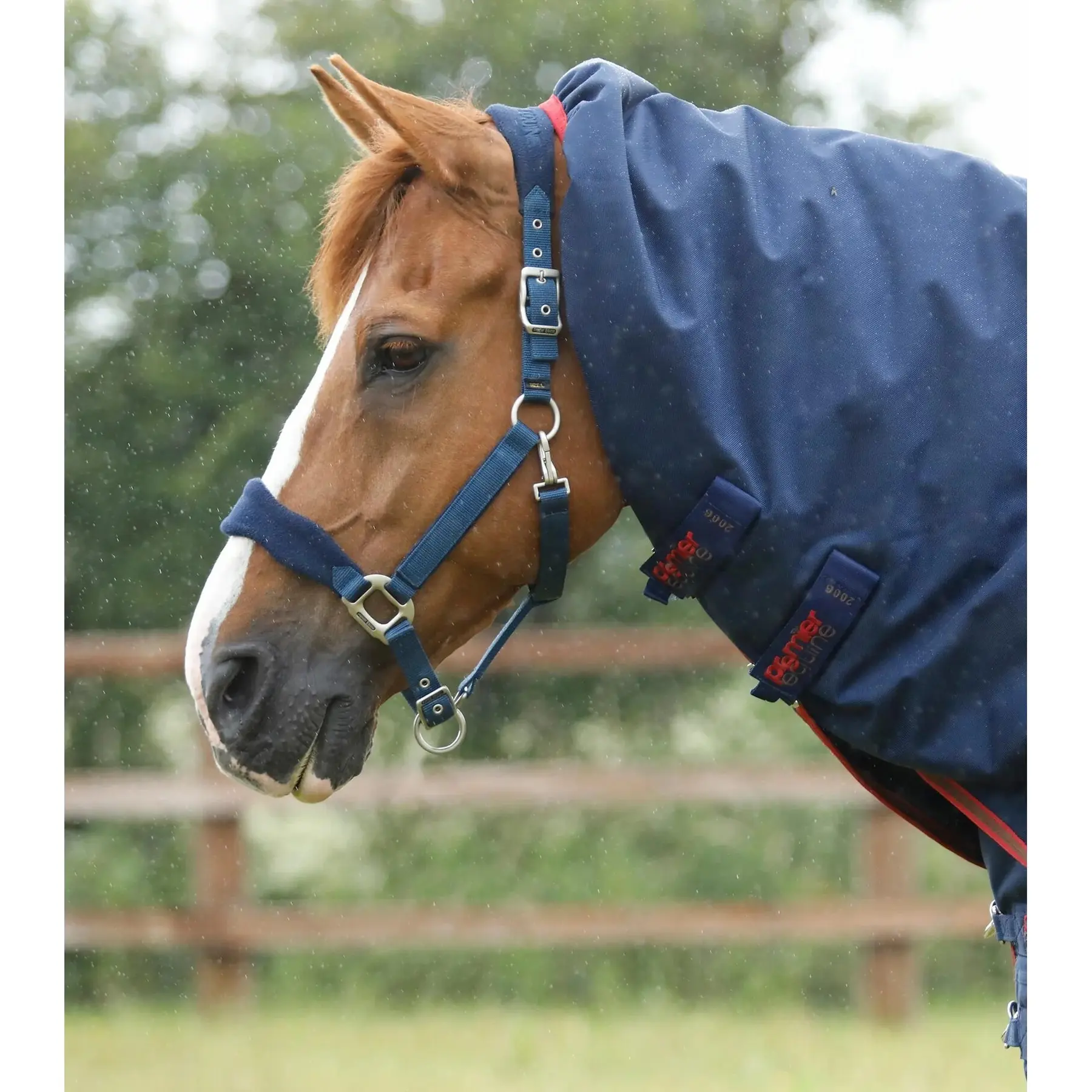 product/p/r/premier-equine_200150n_3.jpg