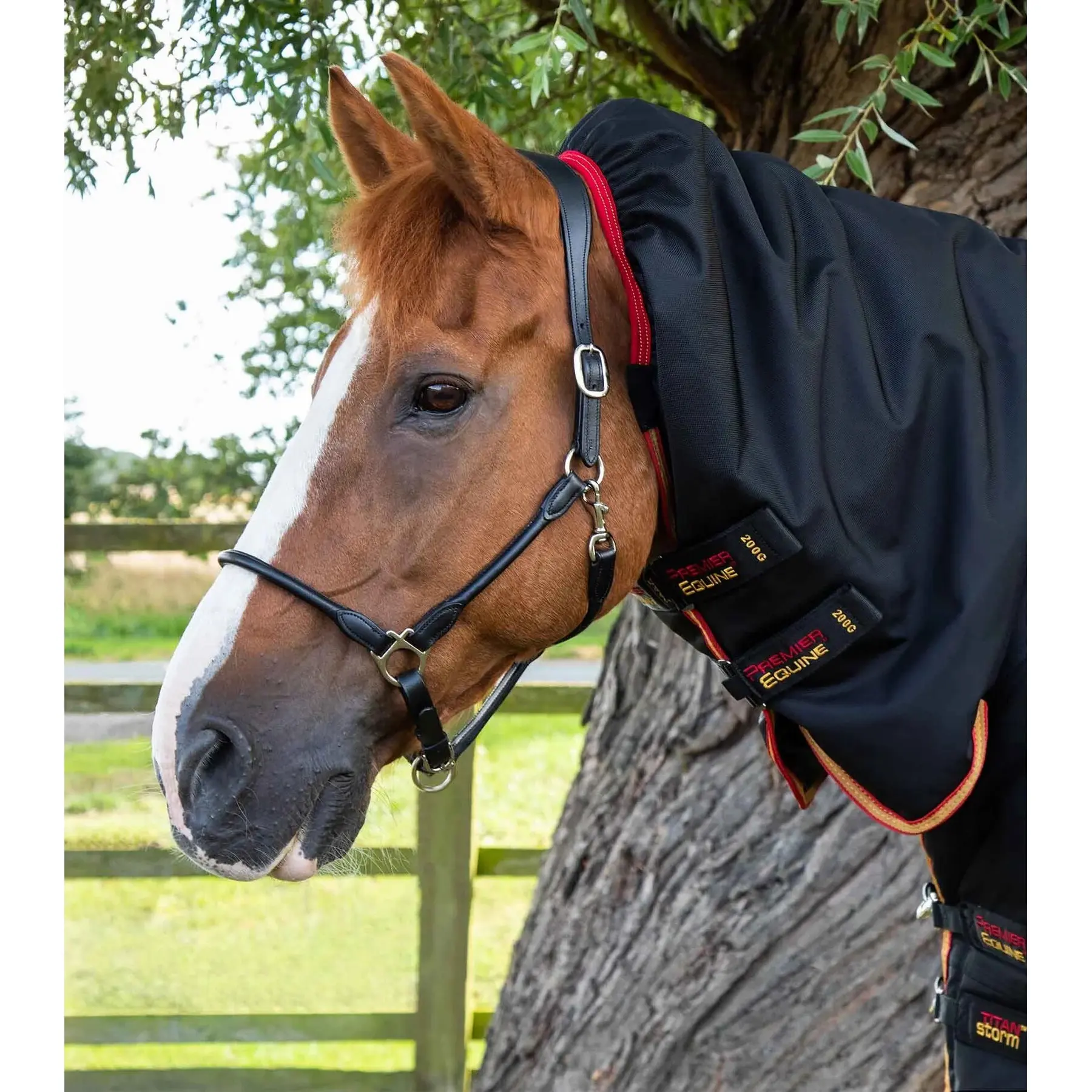 product/p/r/premier-equine_200450b_2.jpg
