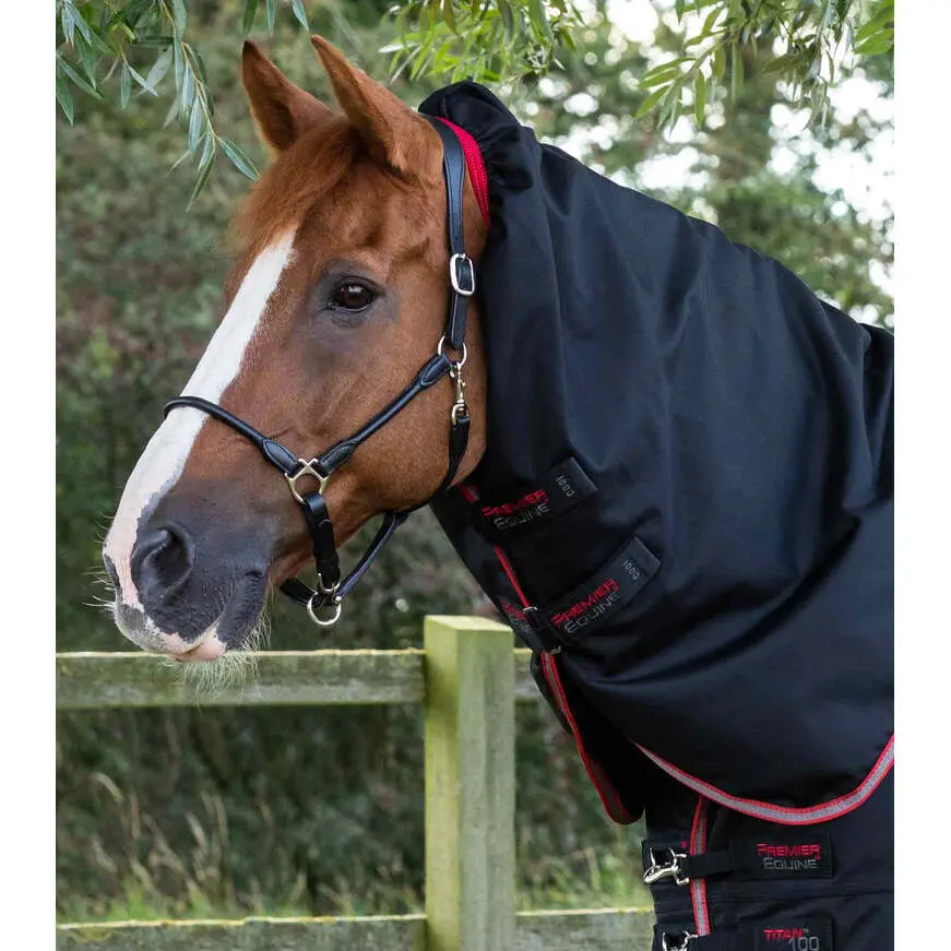 Couverture d'extérieur pour cheval Kingston 100g