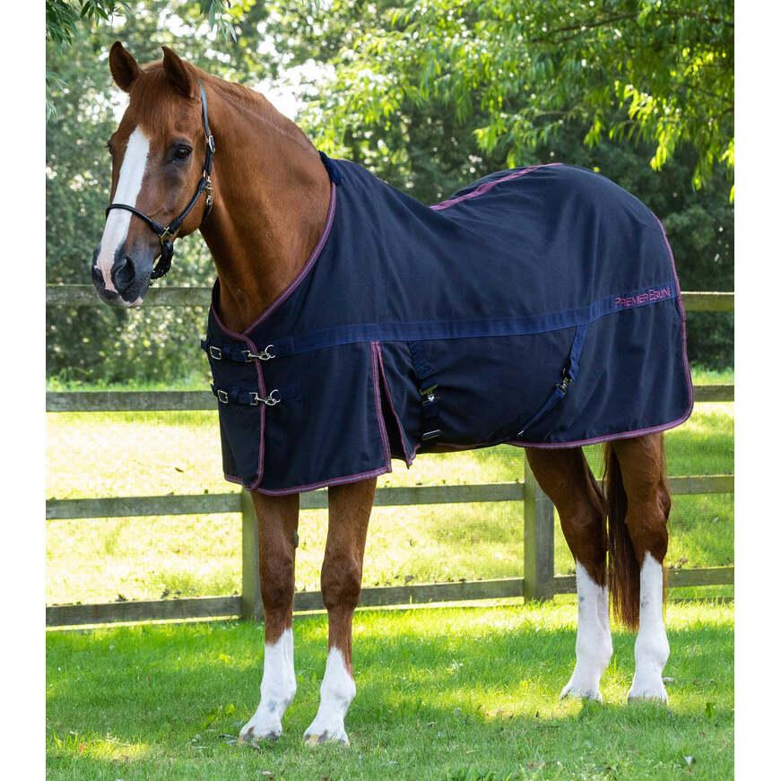 product/p/r/premier-equine_201650blk_black_1.jpg