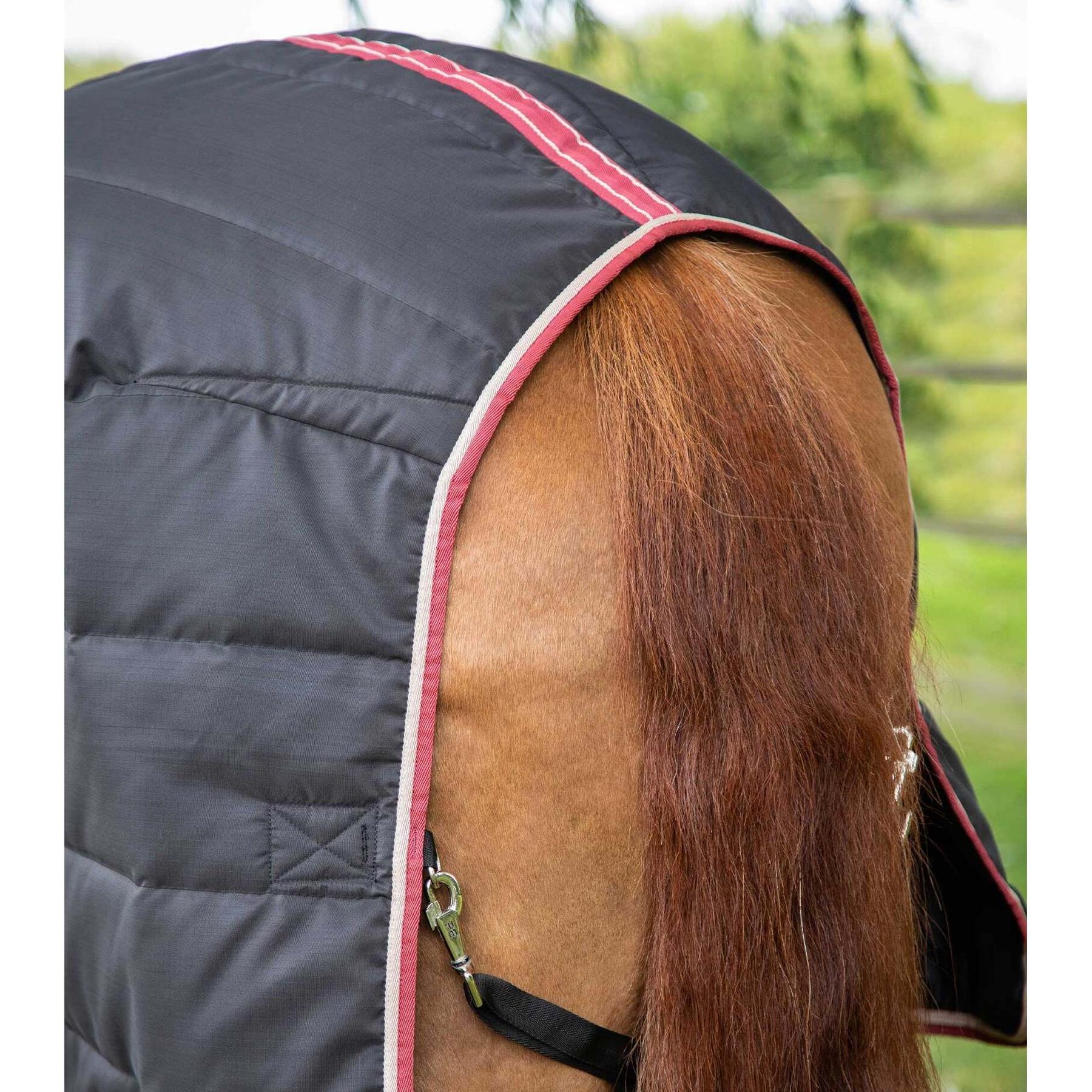 product/p/r/premier-equine_201750blk_black_5.jpg