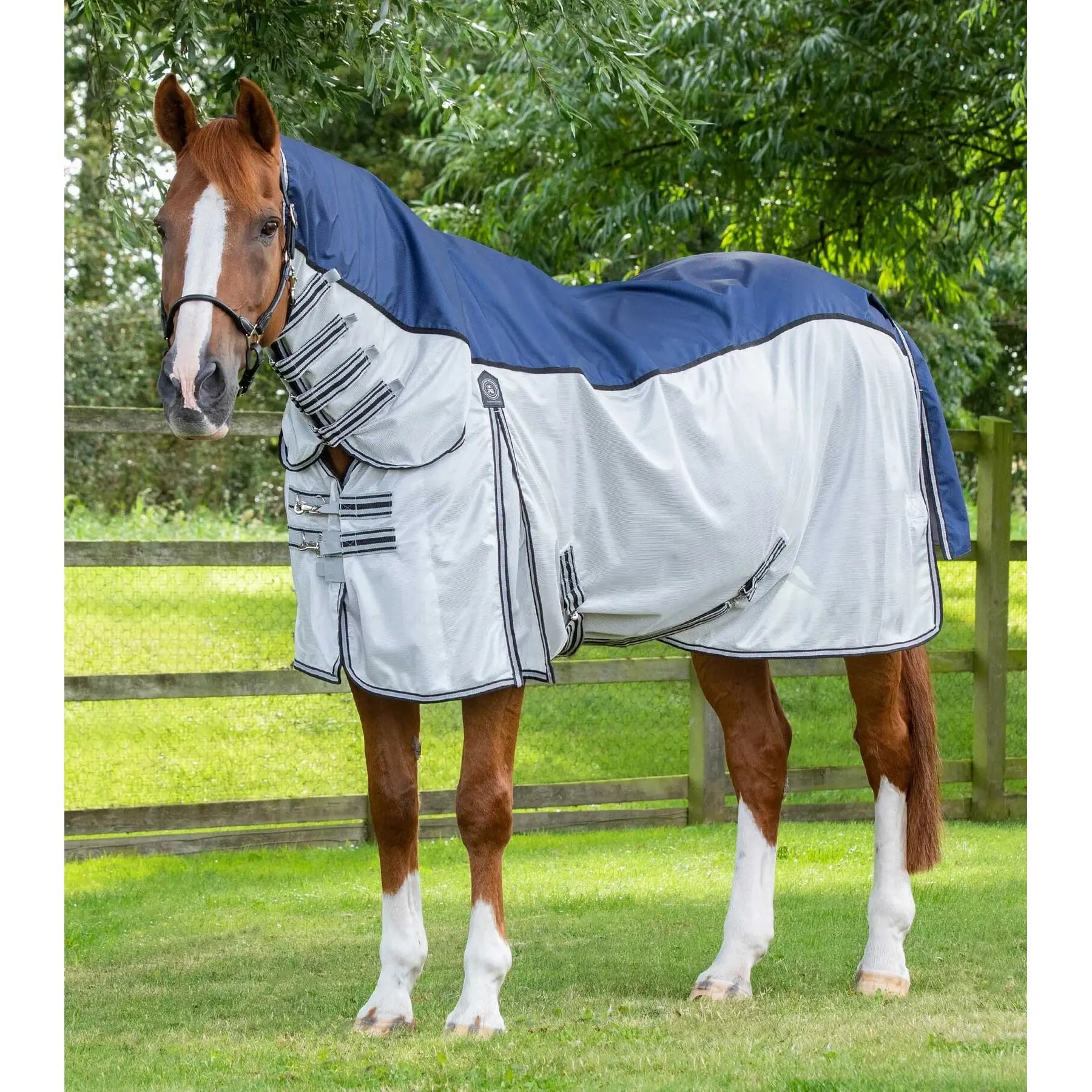 product/p/r/premier-equine_201950n_1.jpg