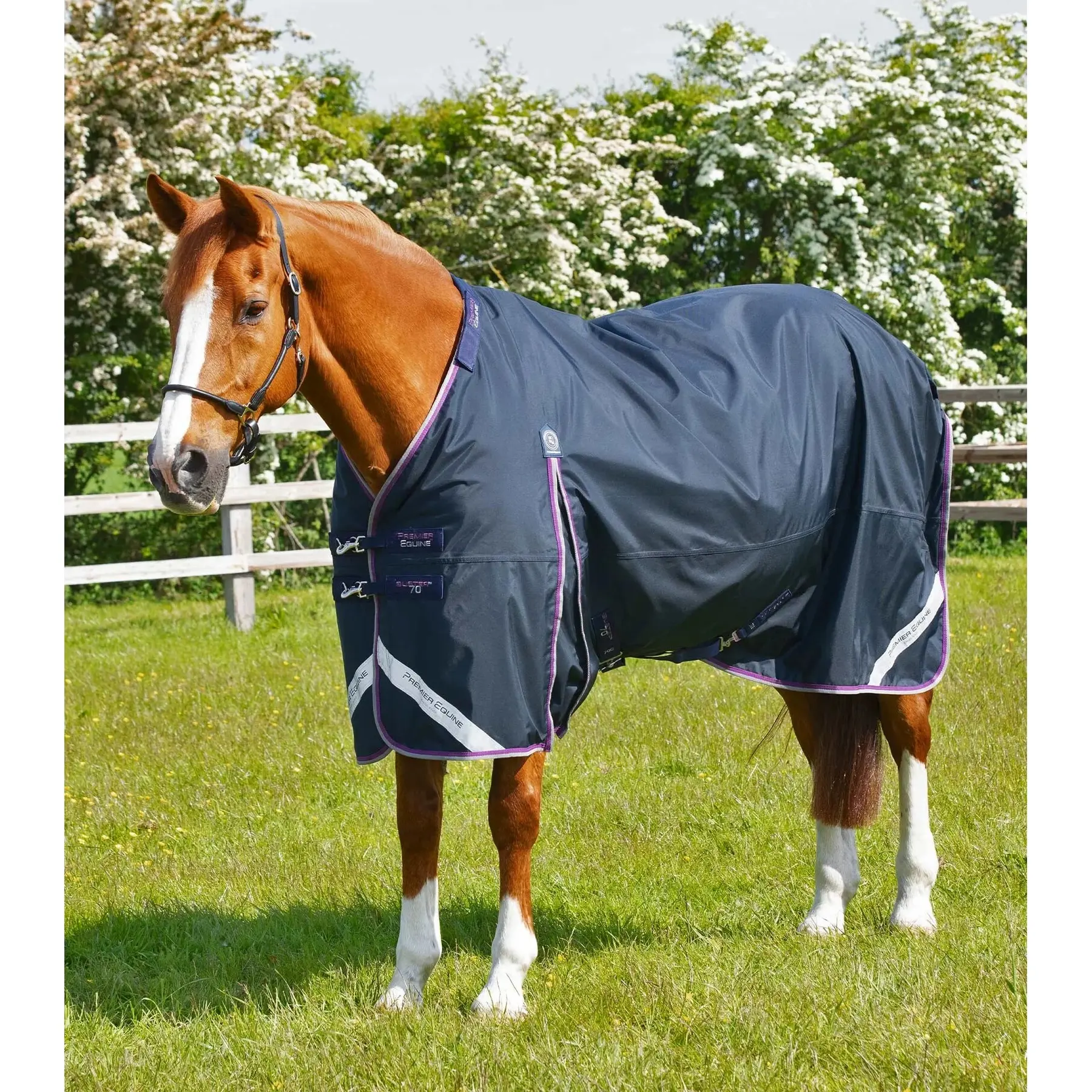 product/p/r/premier-equine_203750n_3.jpg