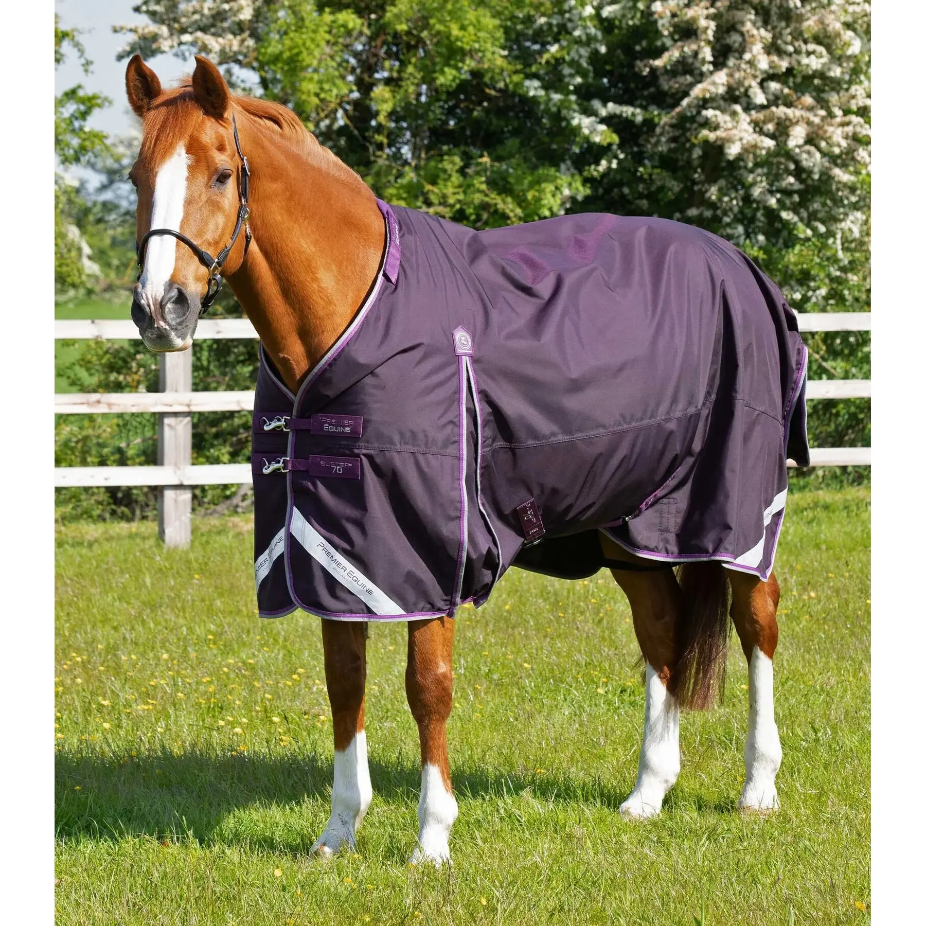 Couverture d'extérieur imperméable pour cheval avec couvre-cou Premier Equine Buster 70 g