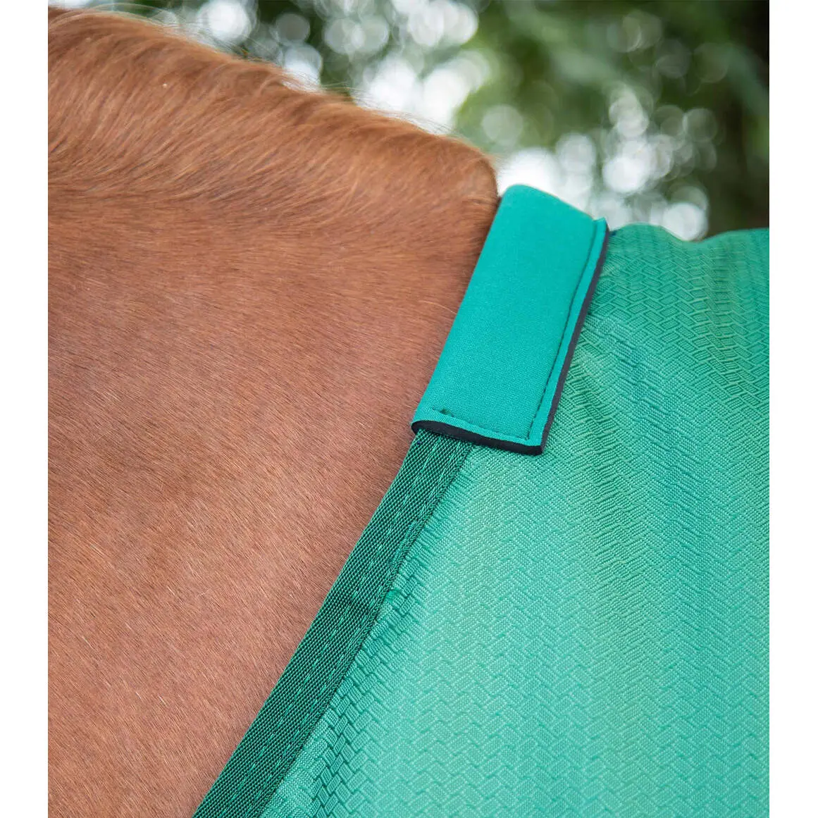 Collier Tête Doublé Laine Premier Equine Techno - Modèle 6007 - Neuf