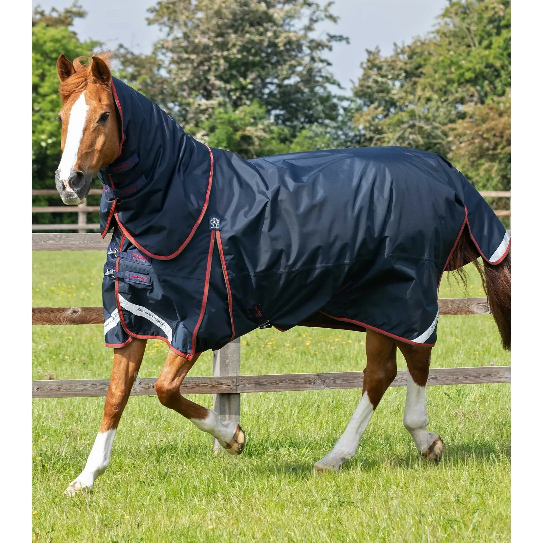 Meilleurs prix pour Couverture d'extérieur imperméable pour cheval avec couvre-cou Premier Equine Buster 150 g
