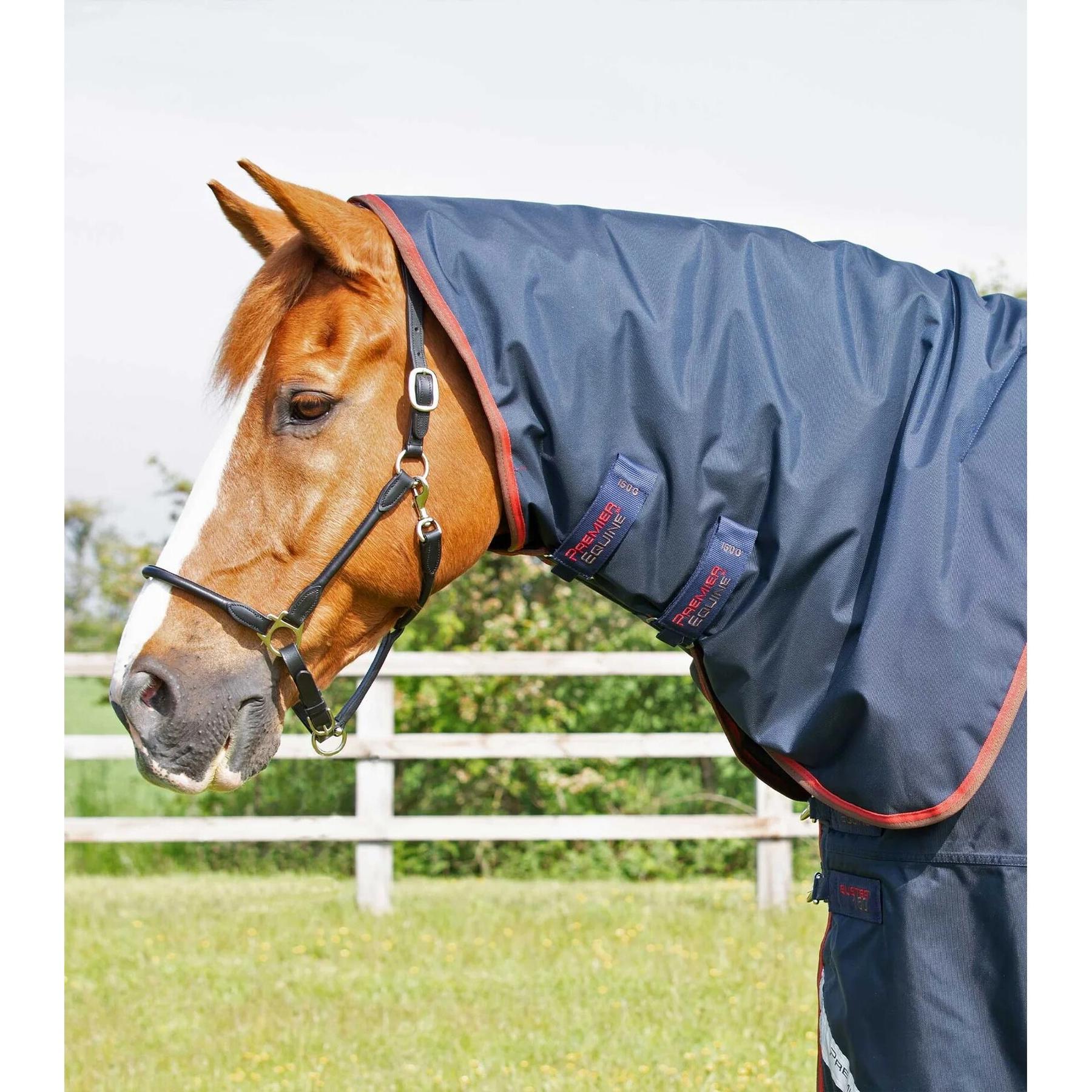 product/p/r/premier-equine_205950n_2.jpg