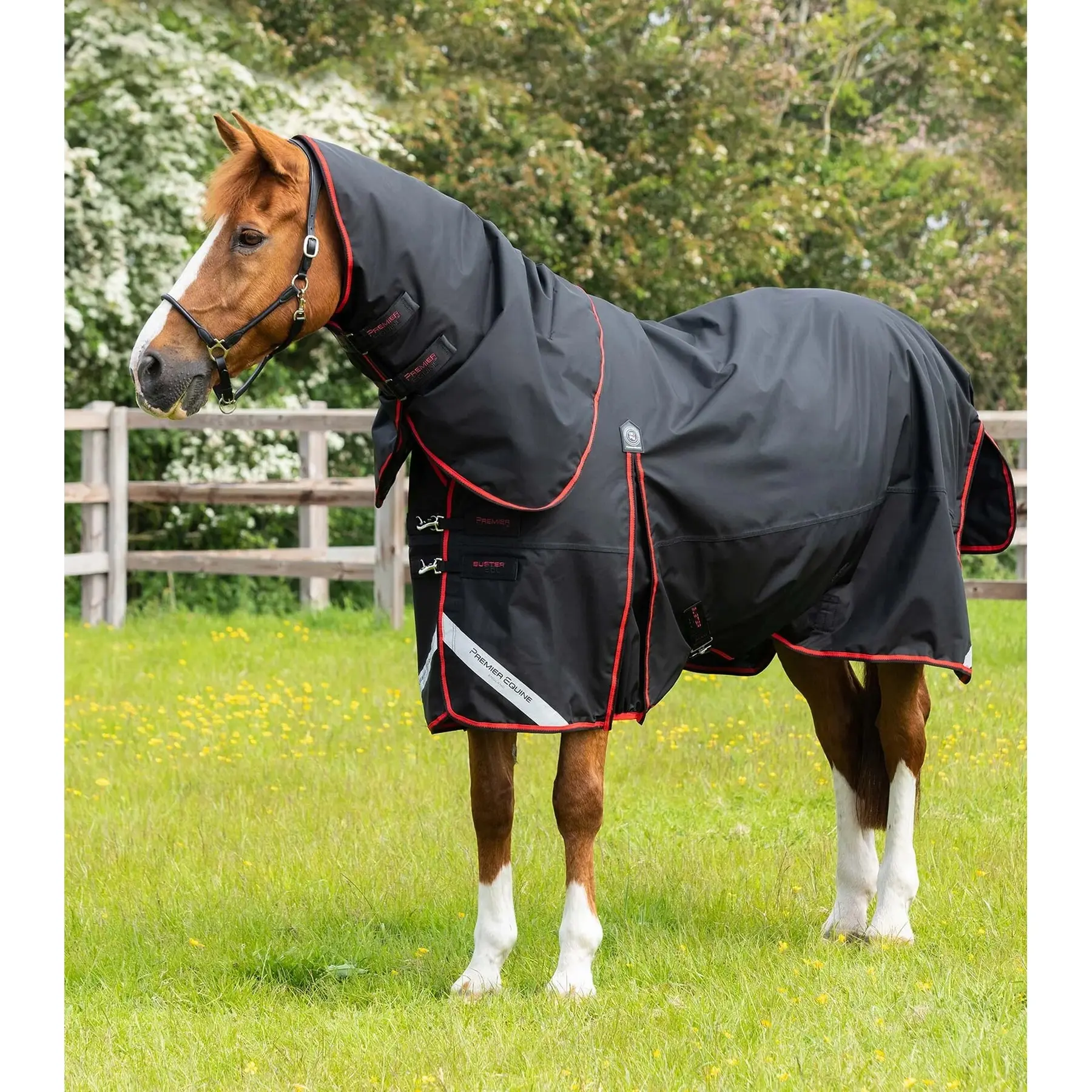product/p/r/premier-equine_206250blk_1.jpg