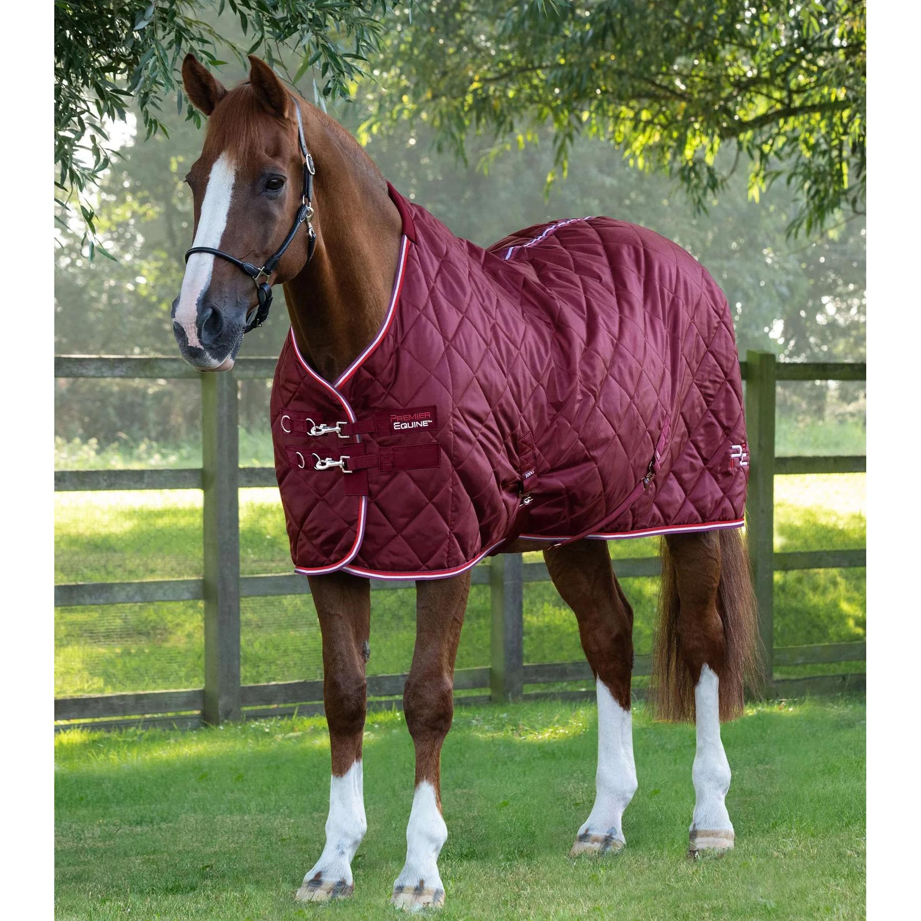 product/p/r/premier-equine_207073brg_burgundy_1.jpg