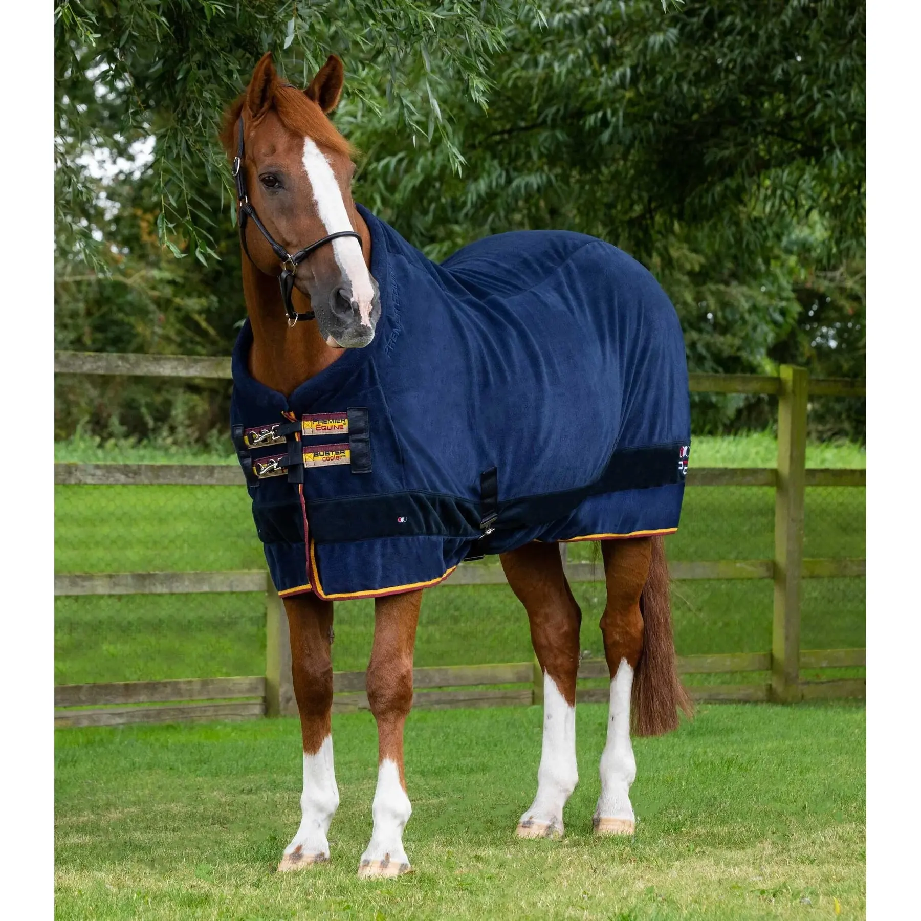 Meilleurs prix pour Couverture polaire séchante pour cheval Premier Equine Buster Continental 280g