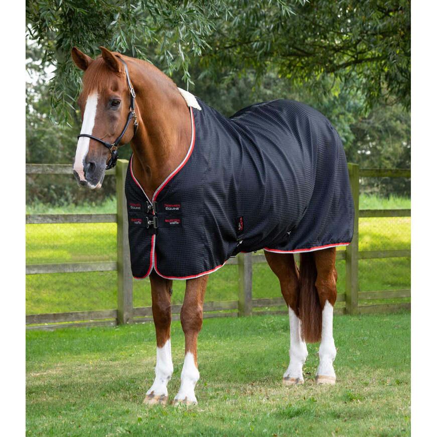 product/p/r/premier-equine_209250blk_black_1.jpg