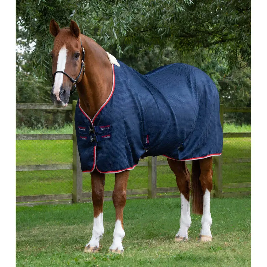 Meilleurs prix pour Couverture rafraichissante pour cheval Premier Equine Cooler Buster