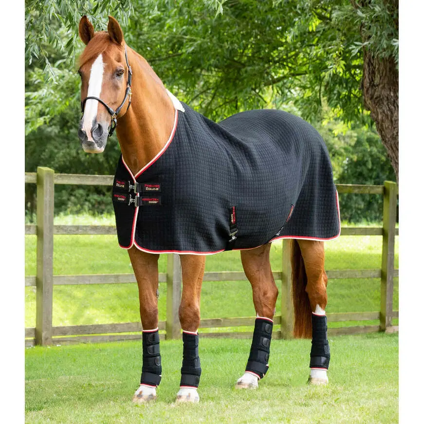 Meilleurs prix pour Chemise séchante pour cheval Premier Equine Premtex