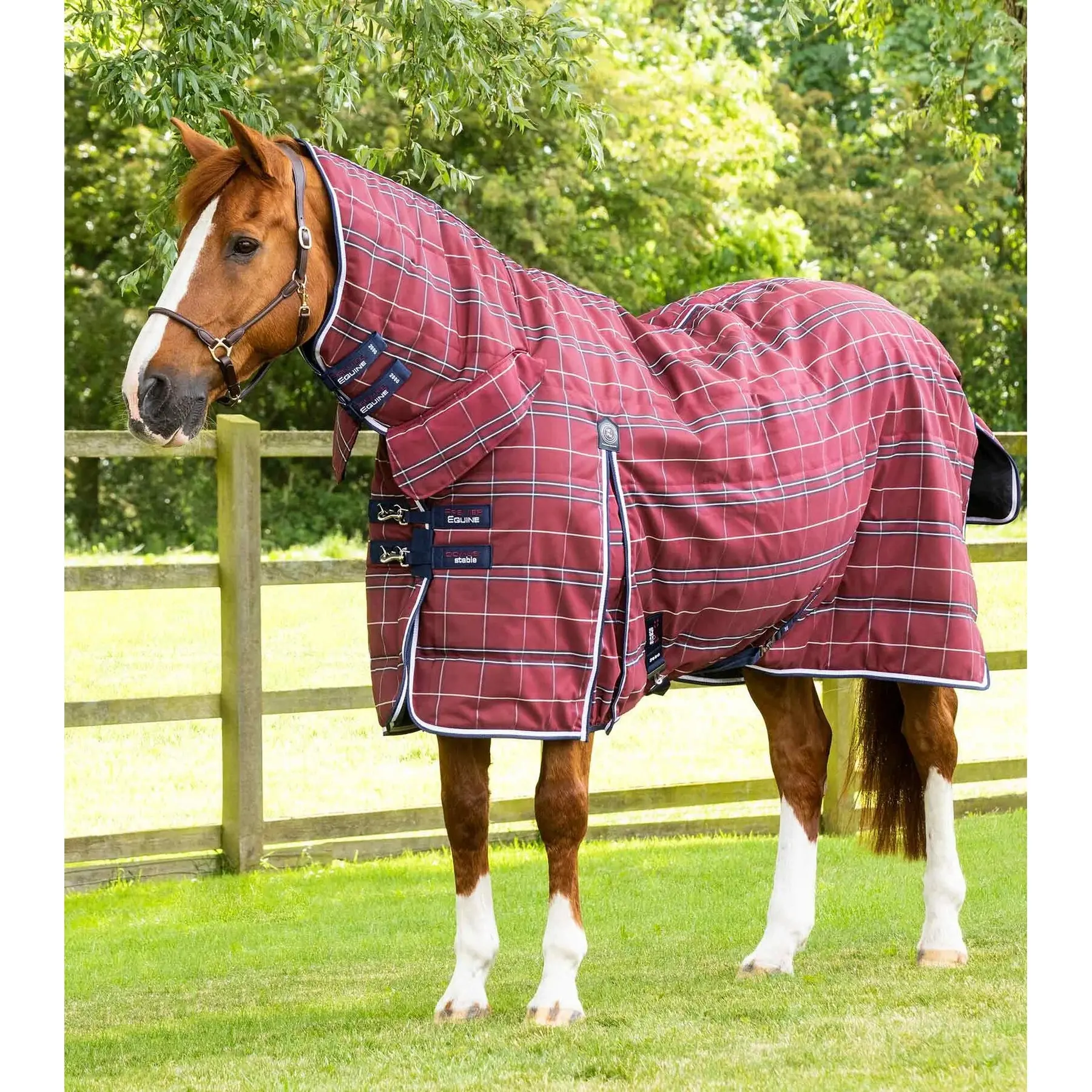 Comparer les prix de Couverture d'écurie pour cheval pour cheval Premier Equine Domus 200 g