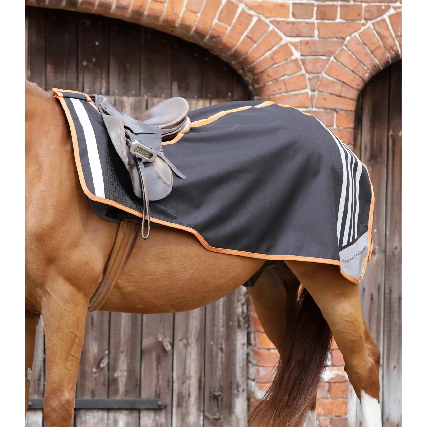 Premier Equine Noir Kidney Cover For Horse Stratus