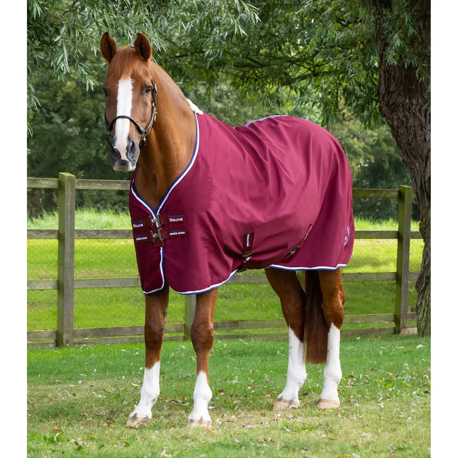 Premier Equine Rouge Horse Stable Blanket Stratus