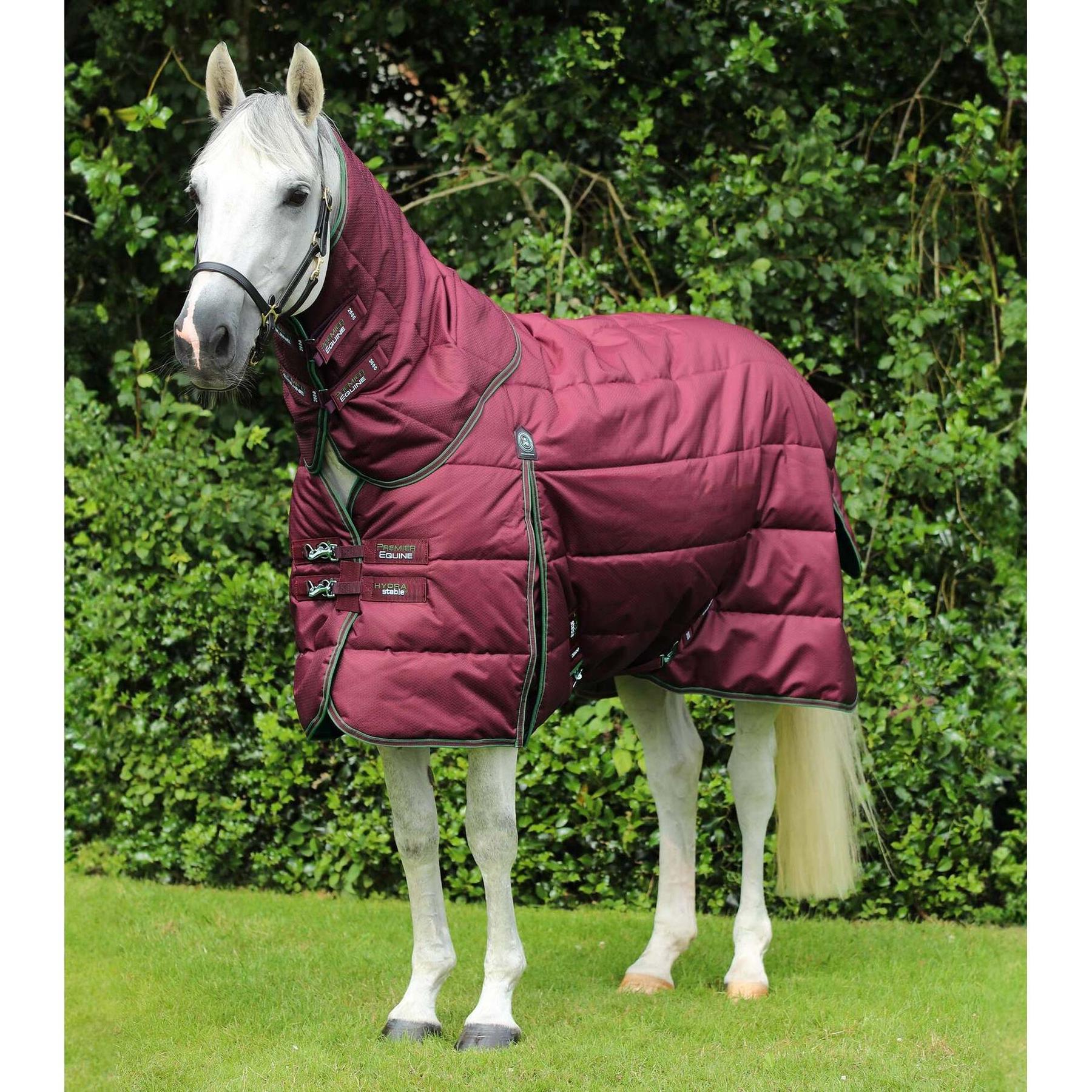 product/p/r/premier-equine_216150w_wine_1.jpg