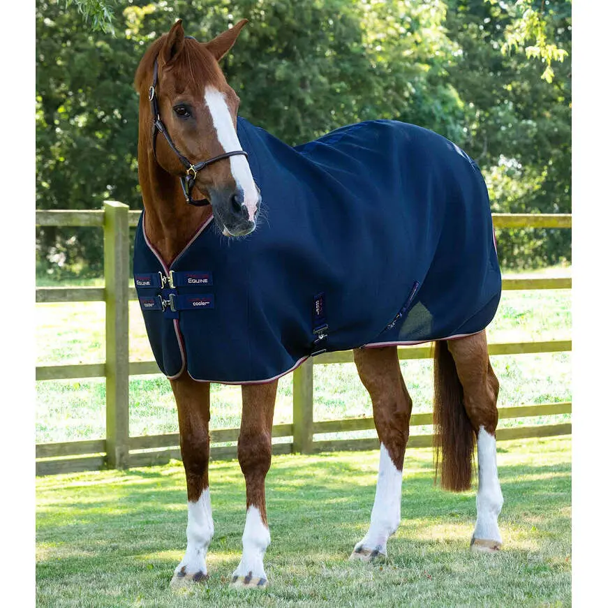 Meilleurs prix pour Chemise pour cheval Premier Equine Airflow Cooler