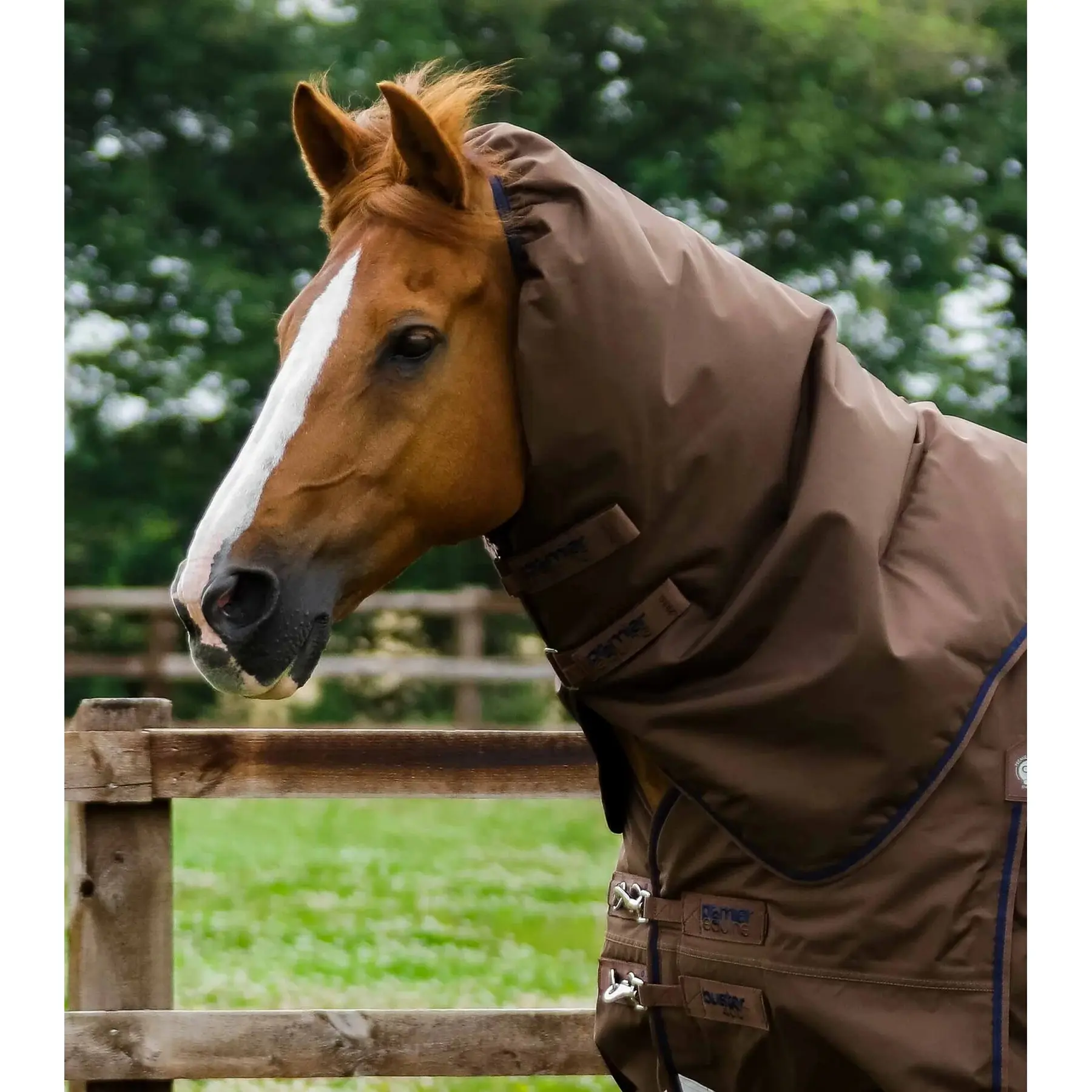 Couverture De Pluie TGW Pour Cheval - Marron, Taille 76 Pouces, 1200D, Imperméable, Neuve