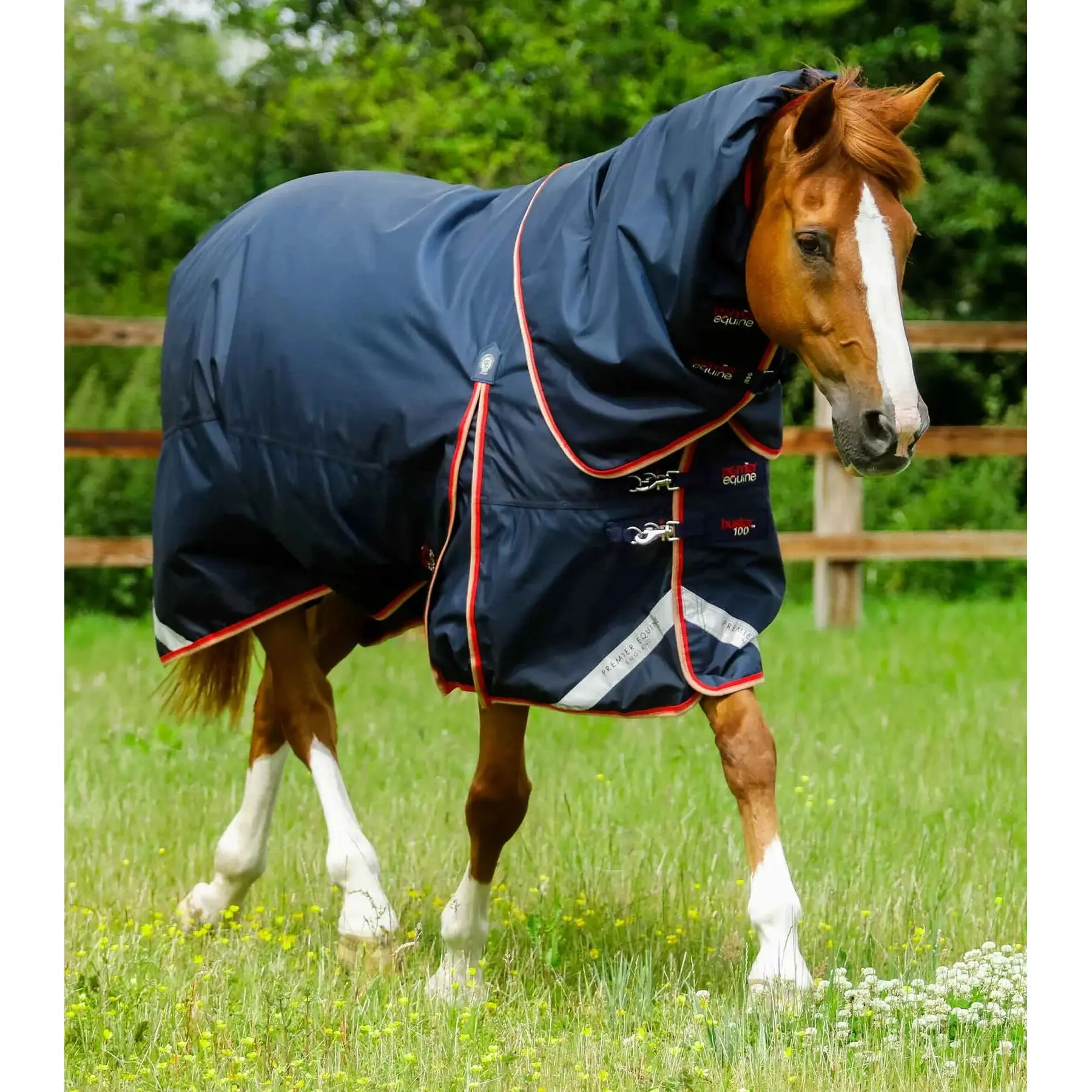 Meilleurs prix pour Couverture d'extérieur imperméable pour cheval avec couvre-cou Premier Equine Buster 100 g