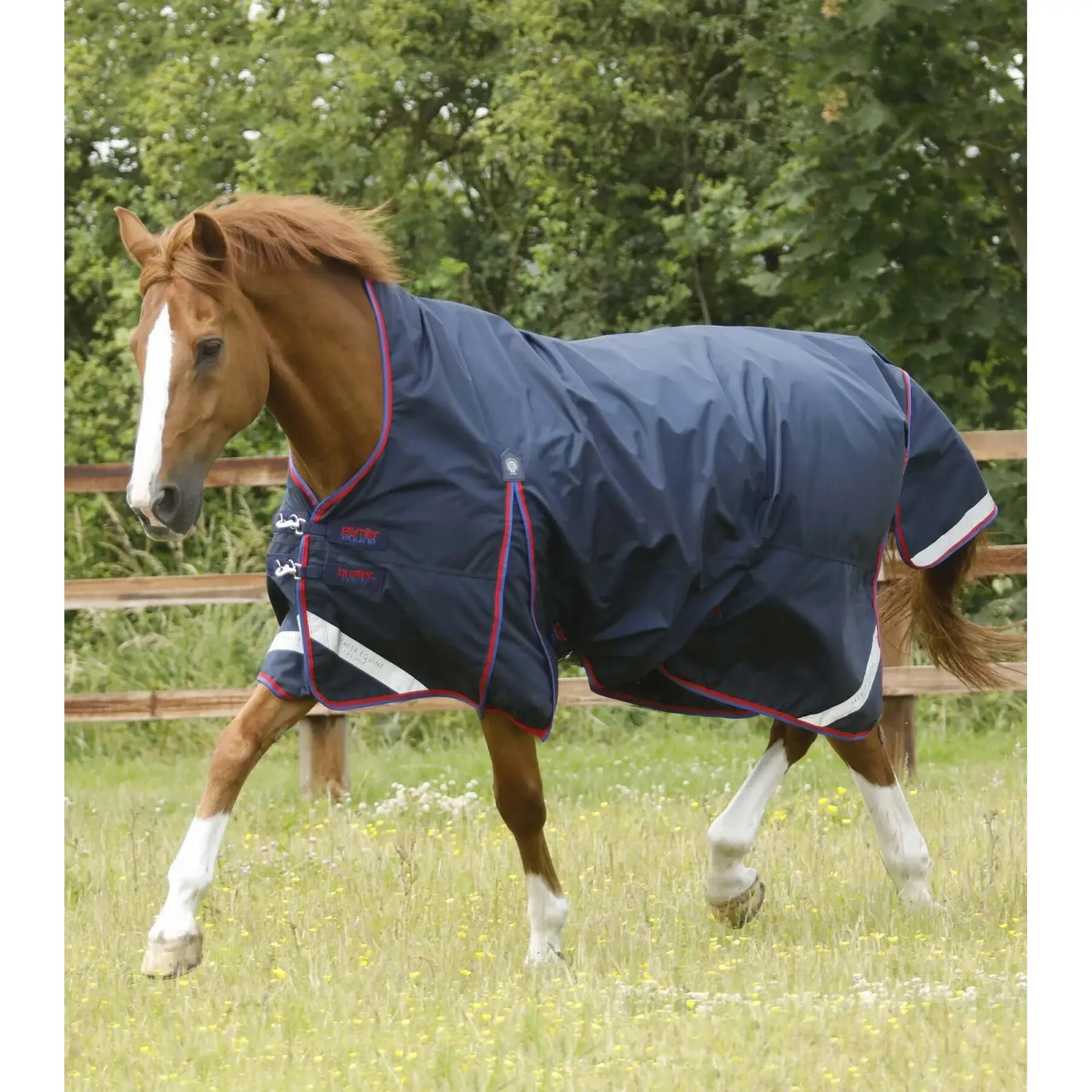 Comparer les prix de Couverture d'extérieur imperméable pour cheval Premier Equine Buster Hardy 0 g