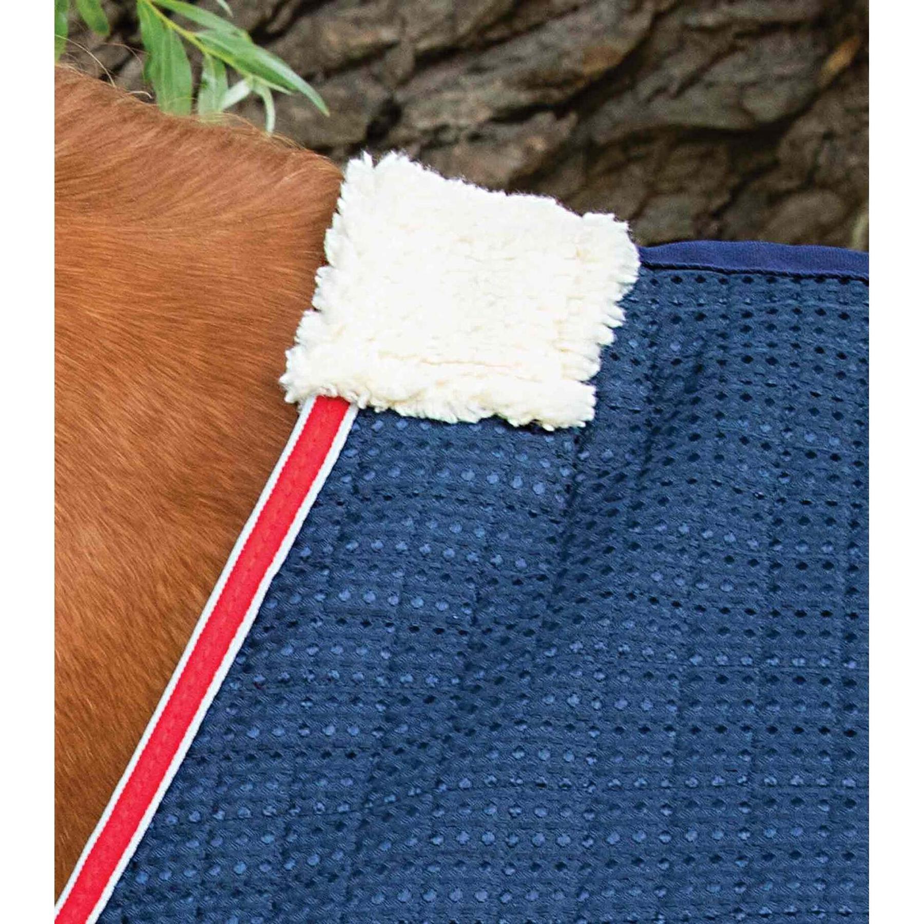 product/p/r/premier-equine_222270n_navy_2.jpg