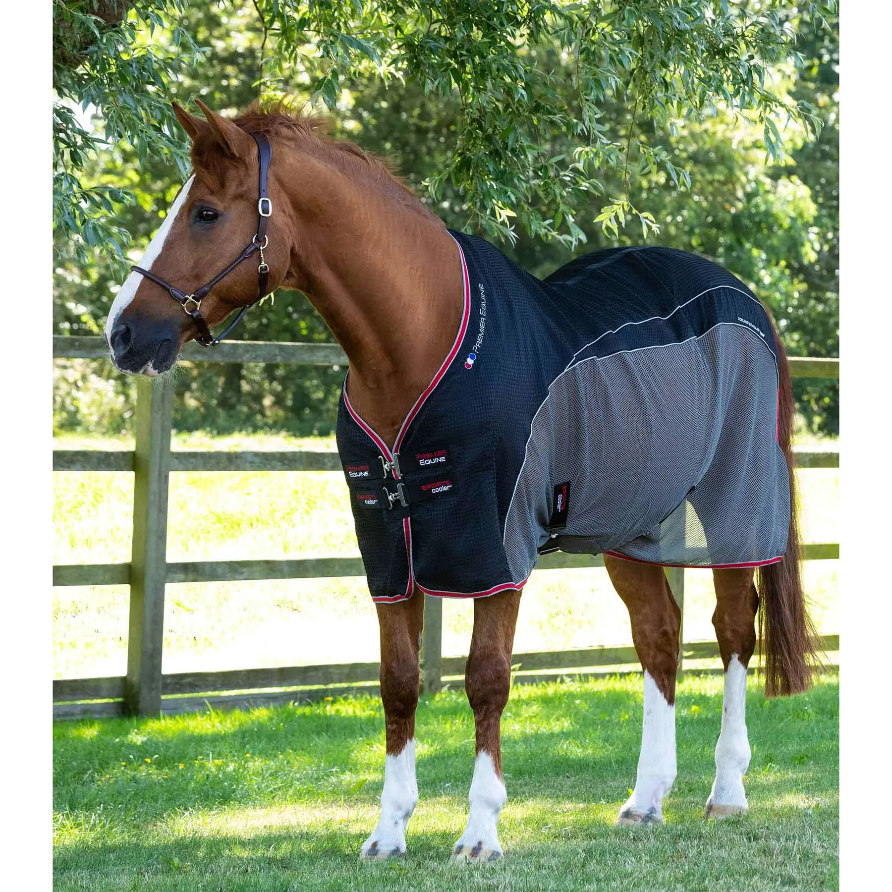Meilleurs prix pour Chemise séchante pour cheval Premier Equine Sports
