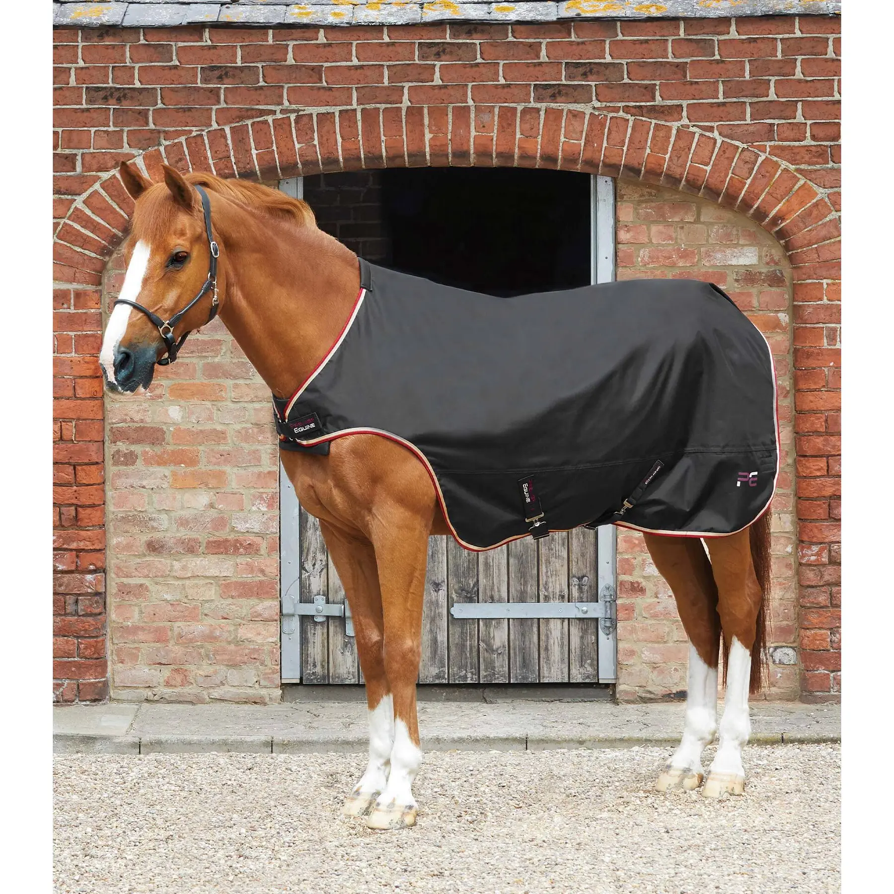 Premier Equine Noir Walker Blanket 100 G