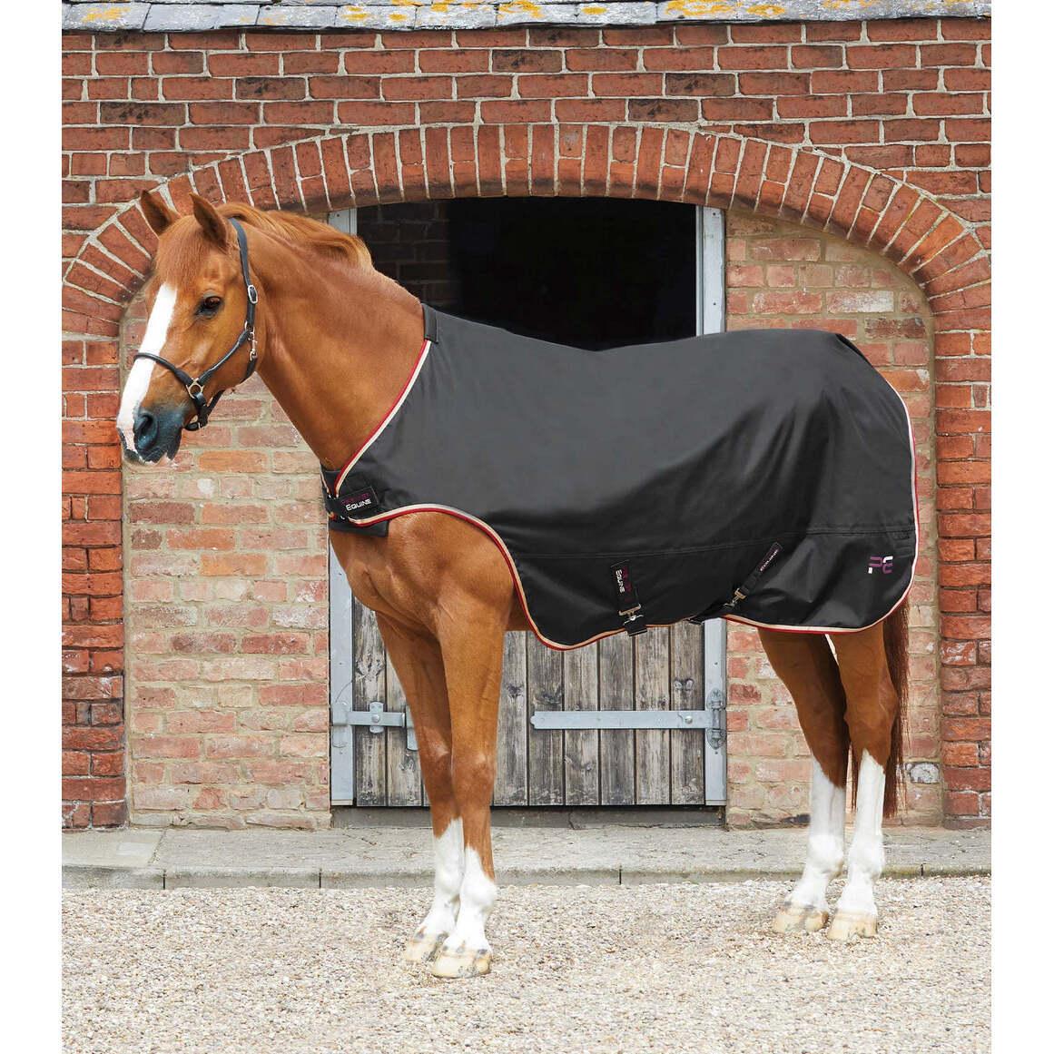 product/p/r/premier-equine_222956b_black_1.jpg