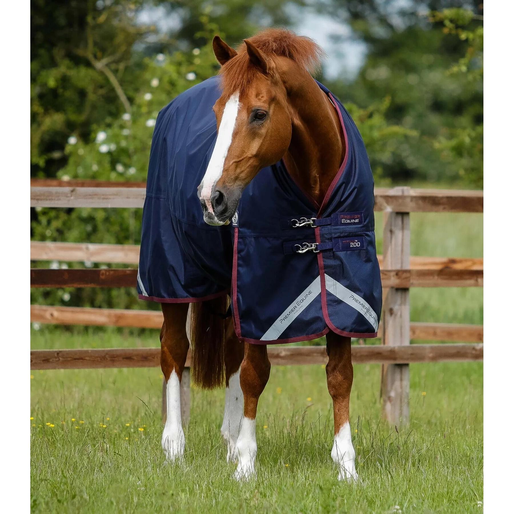 product/p/r/premier-equine_223150n_1.jpg