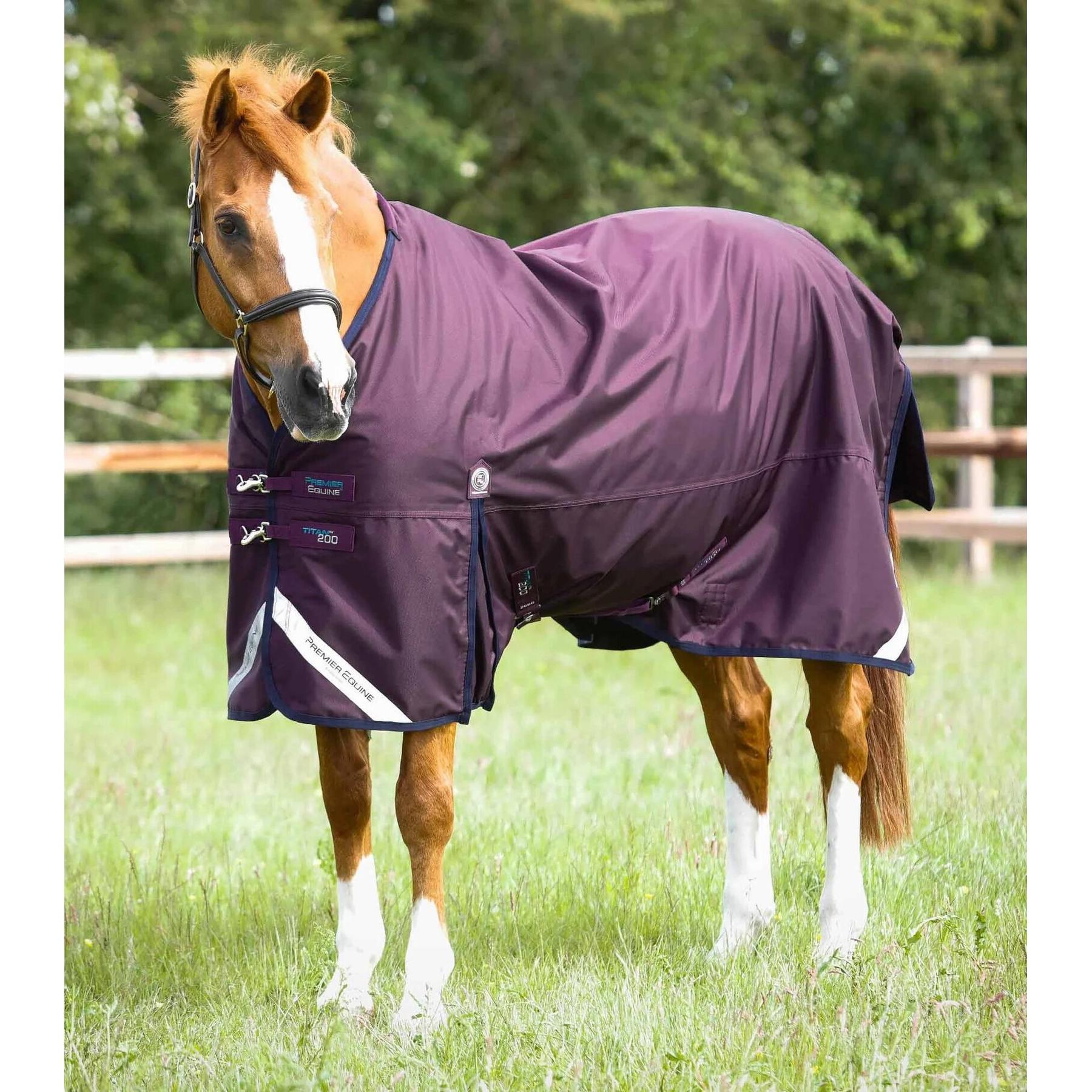 product/p/r/premier-equine_223150p_1.jpg
