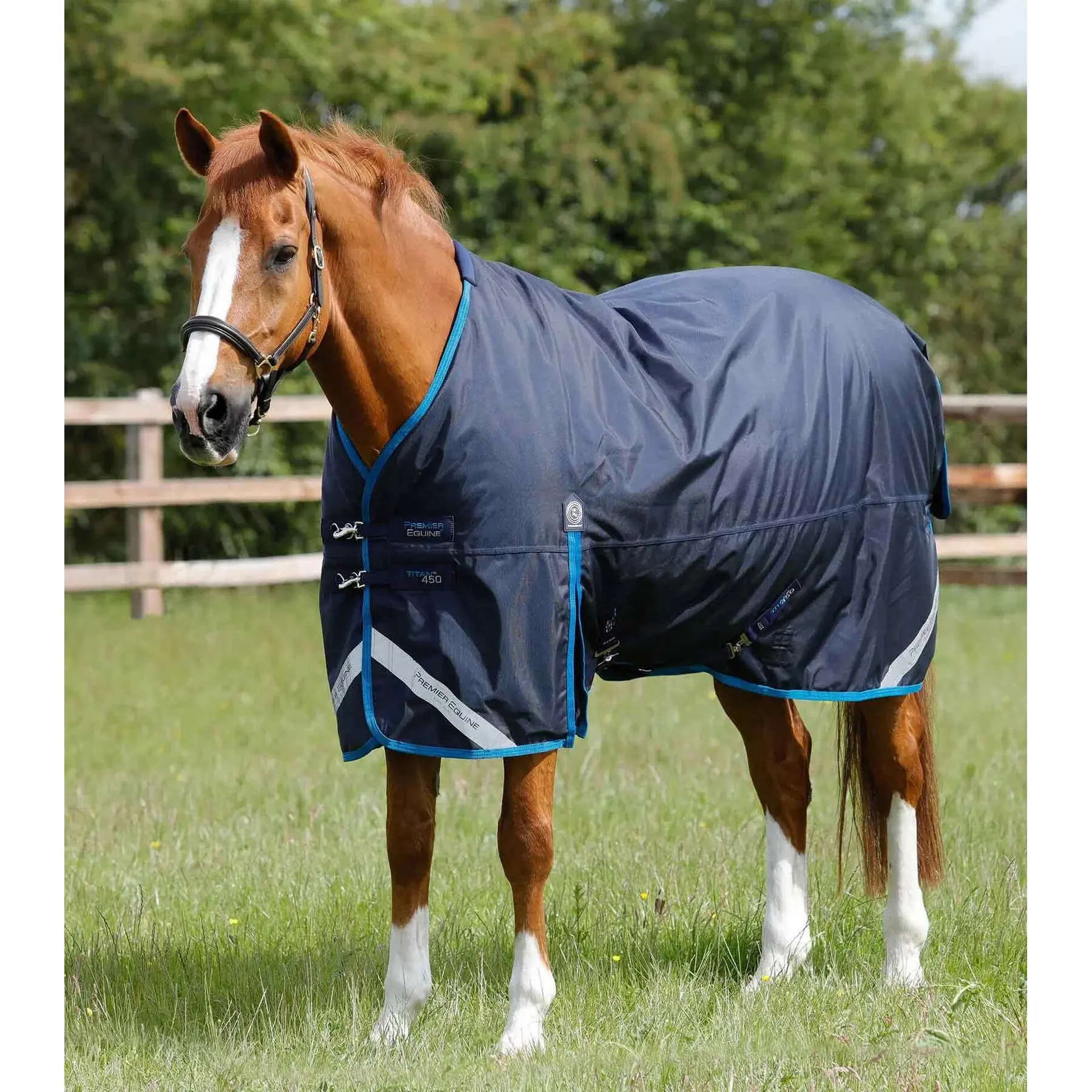 Comparer les prix de Couverture d'extérieur pour cheval Premier Equine Turnout Rug 450 g