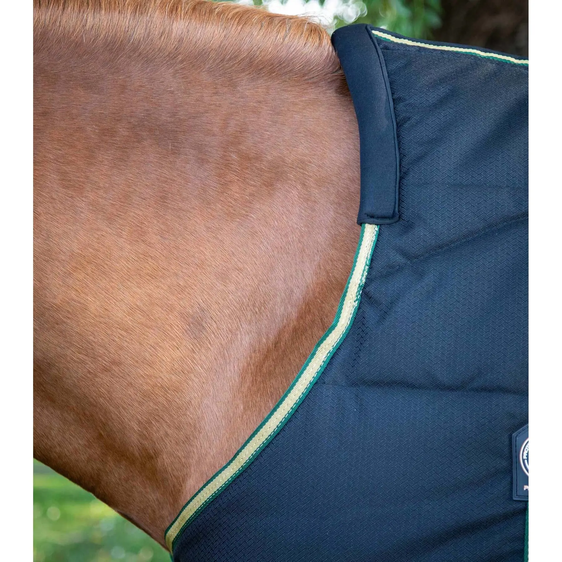 product/p/r/premier-equine_223650b_3.jpg