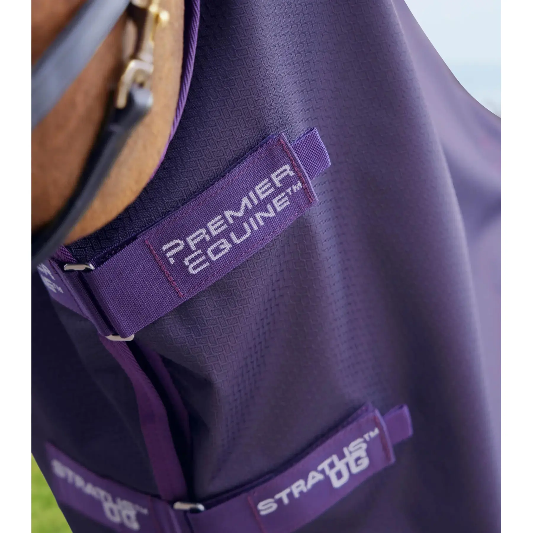 product/p/r/premier-equine_240050p_purple_3.jpg