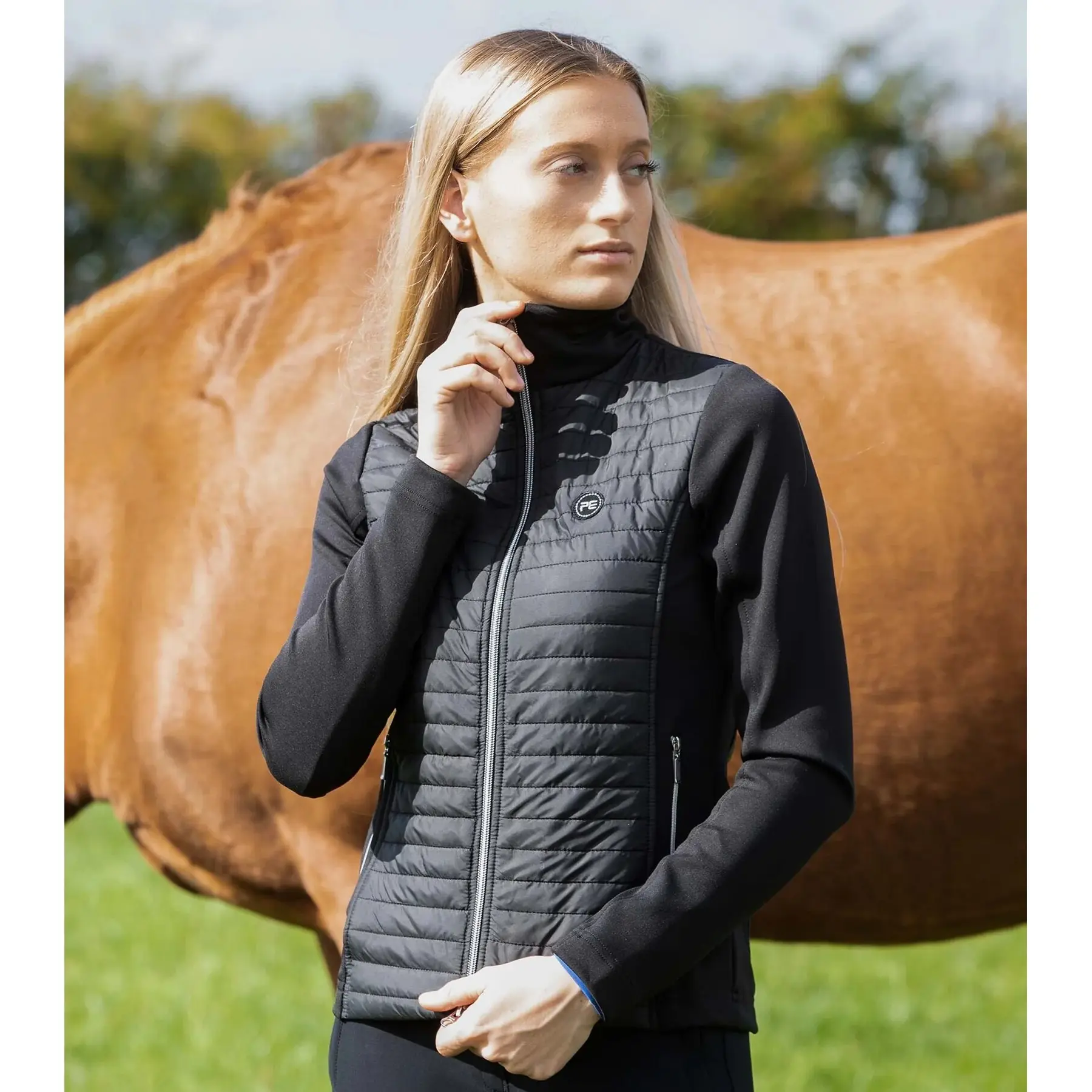 Veste matelassée Portwest Aspen pour femme – GS Equestrian