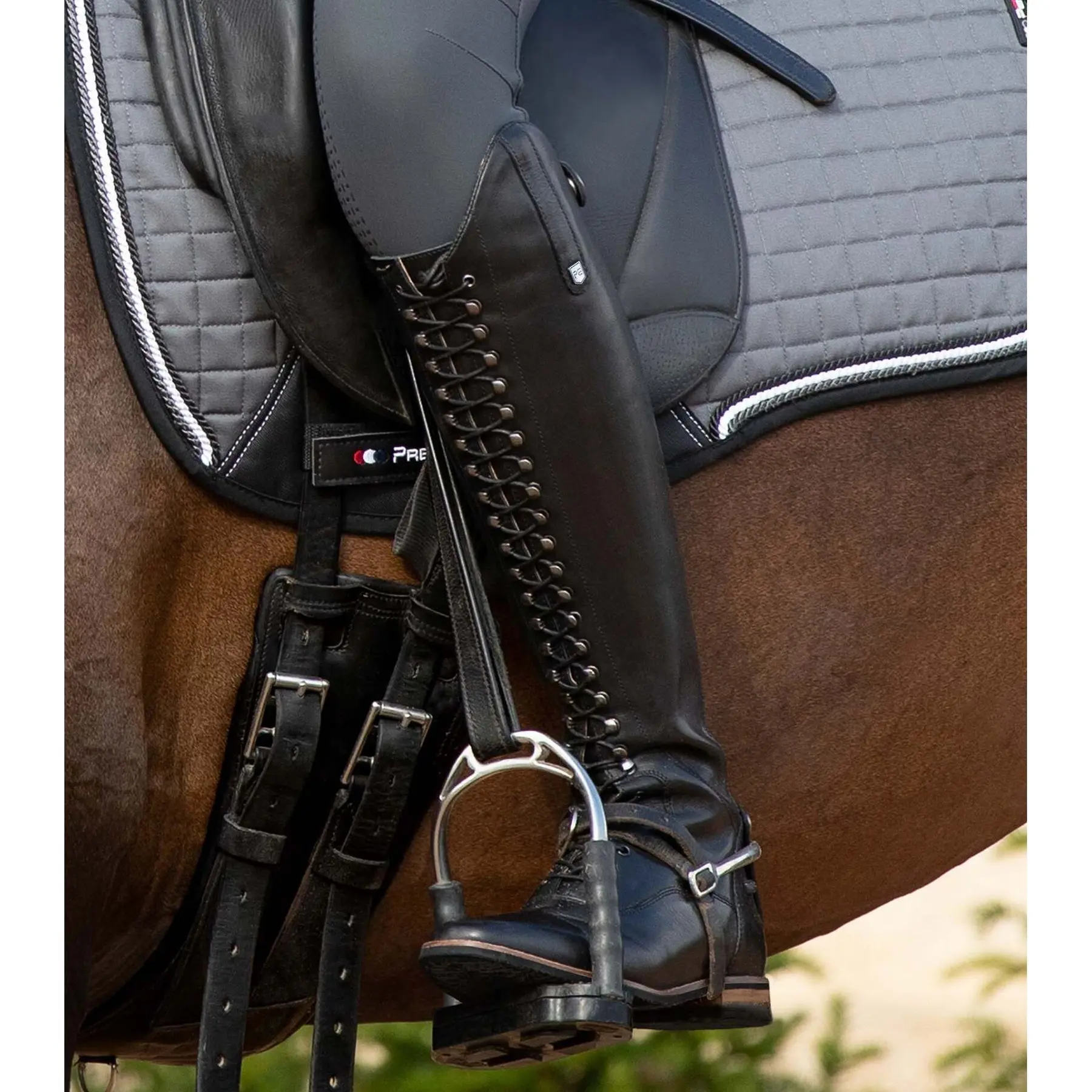 product/p/r/premier-equine_5030w4blk_black_6.jpg