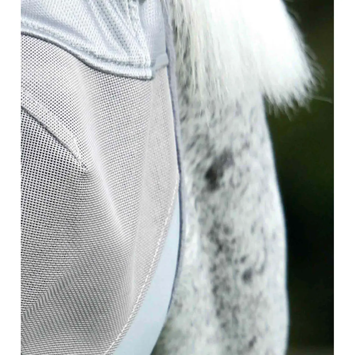 product/p/r/premier-equine_6003l_silver_5.jpg
