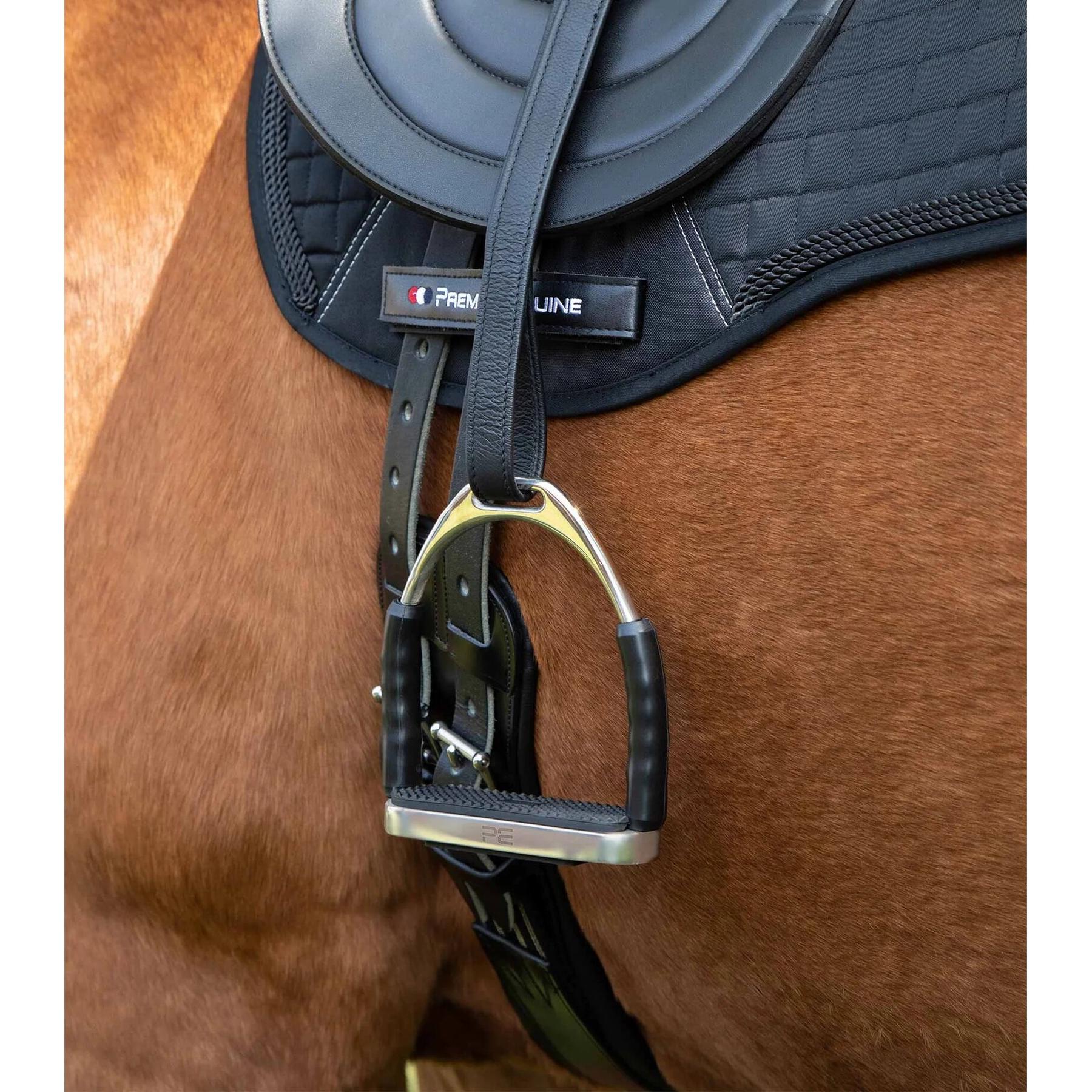 product/p/r/premier-equine_6106-425_2.jpg