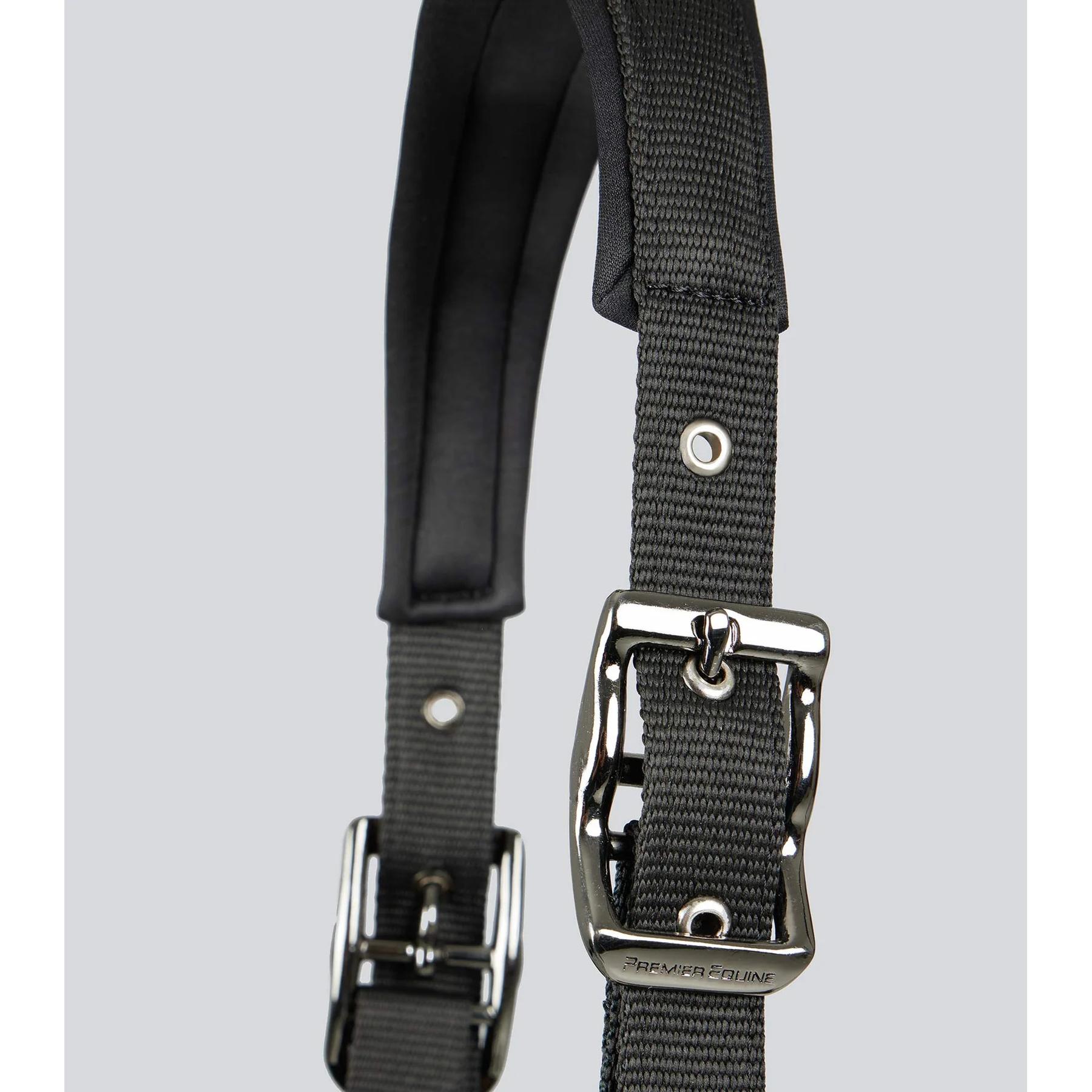 product/p/r/premier-equine_6150cblk_black_2.jpg