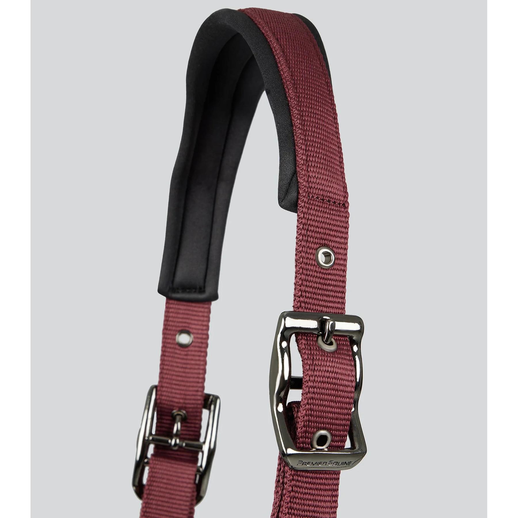 product/p/r/premier-equine_6150cbrg_burgundy_2.jpg
