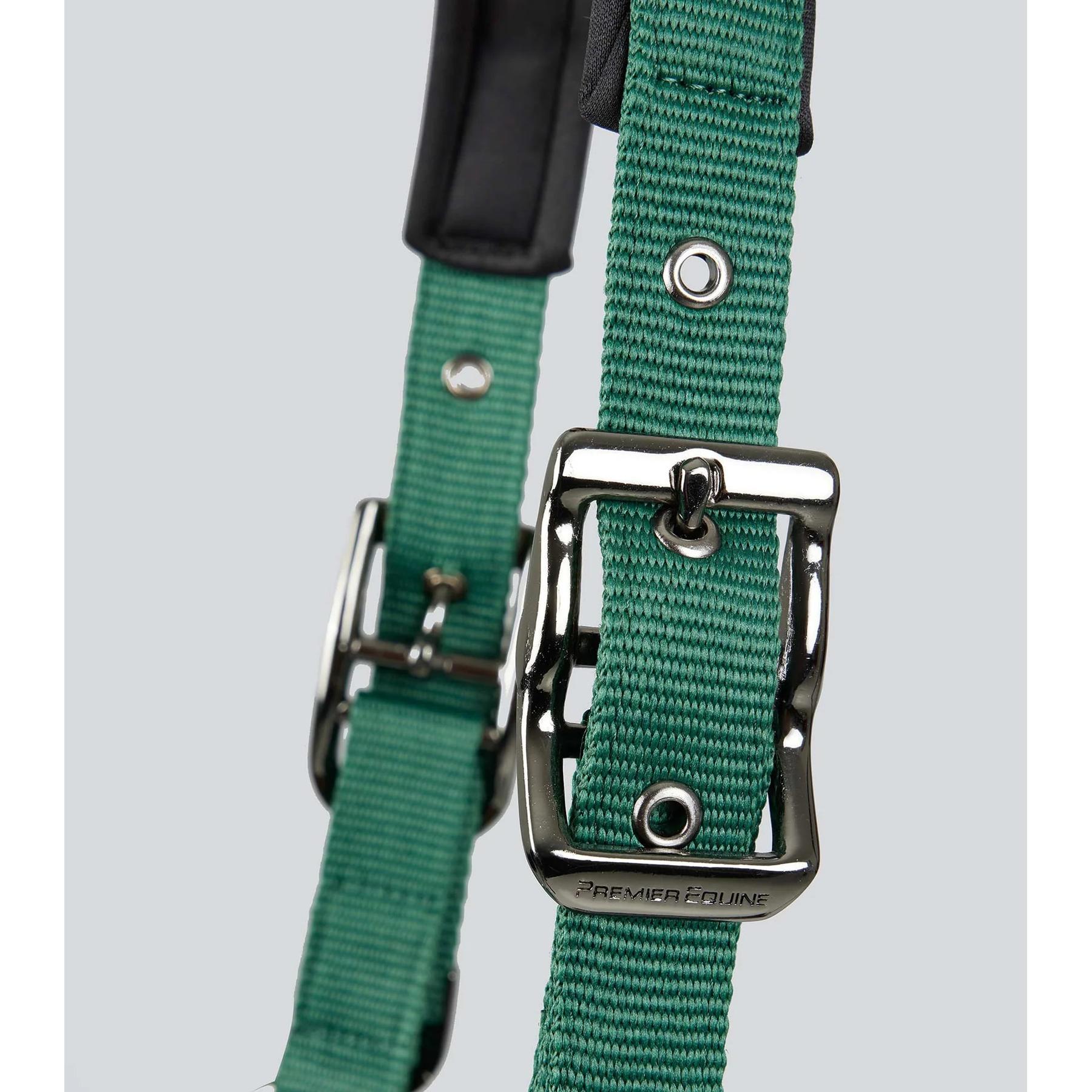 product/p/r/premier-equine_6150cgrn_green_2.jpg