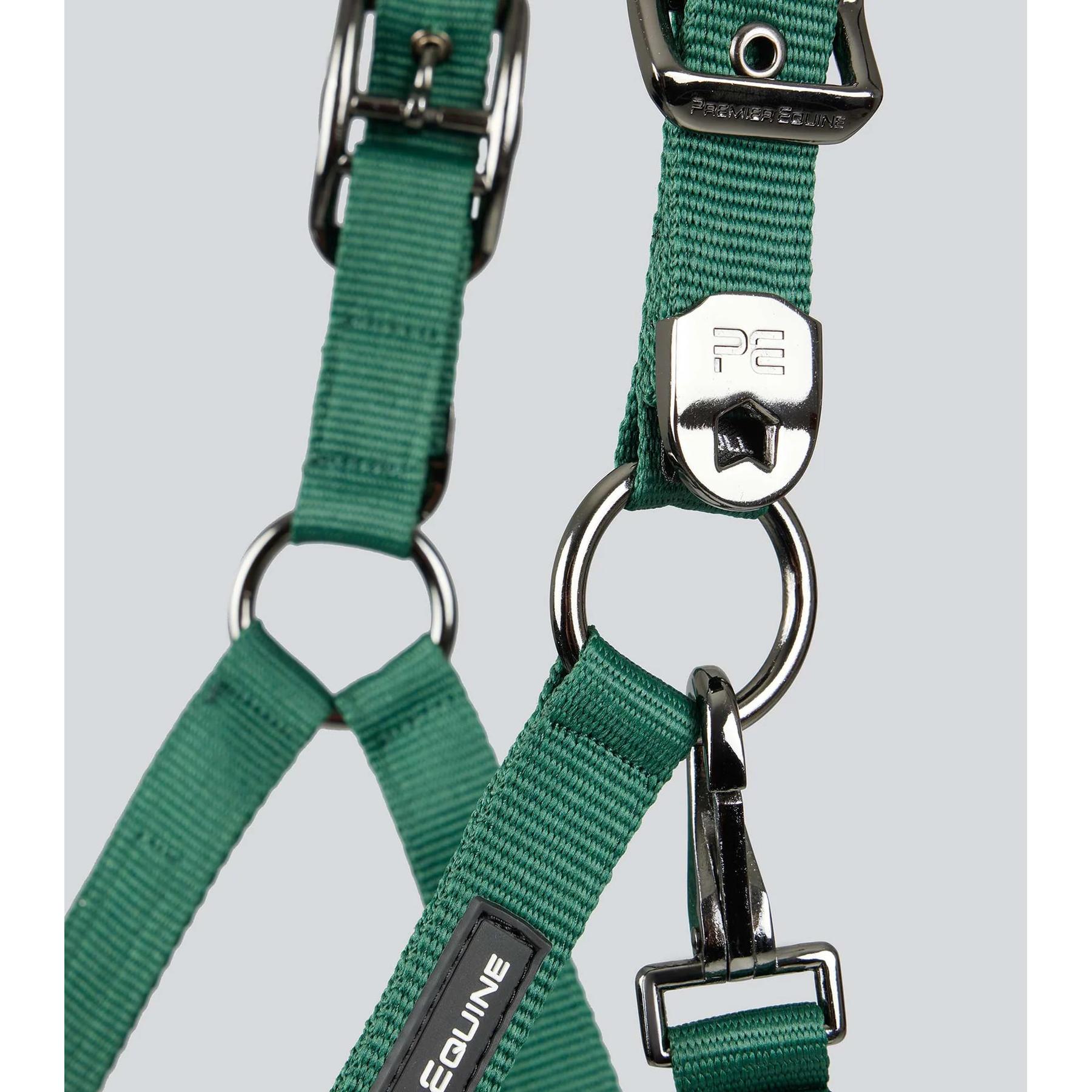 product/p/r/premier-equine_6150cgrn_green_3.jpg