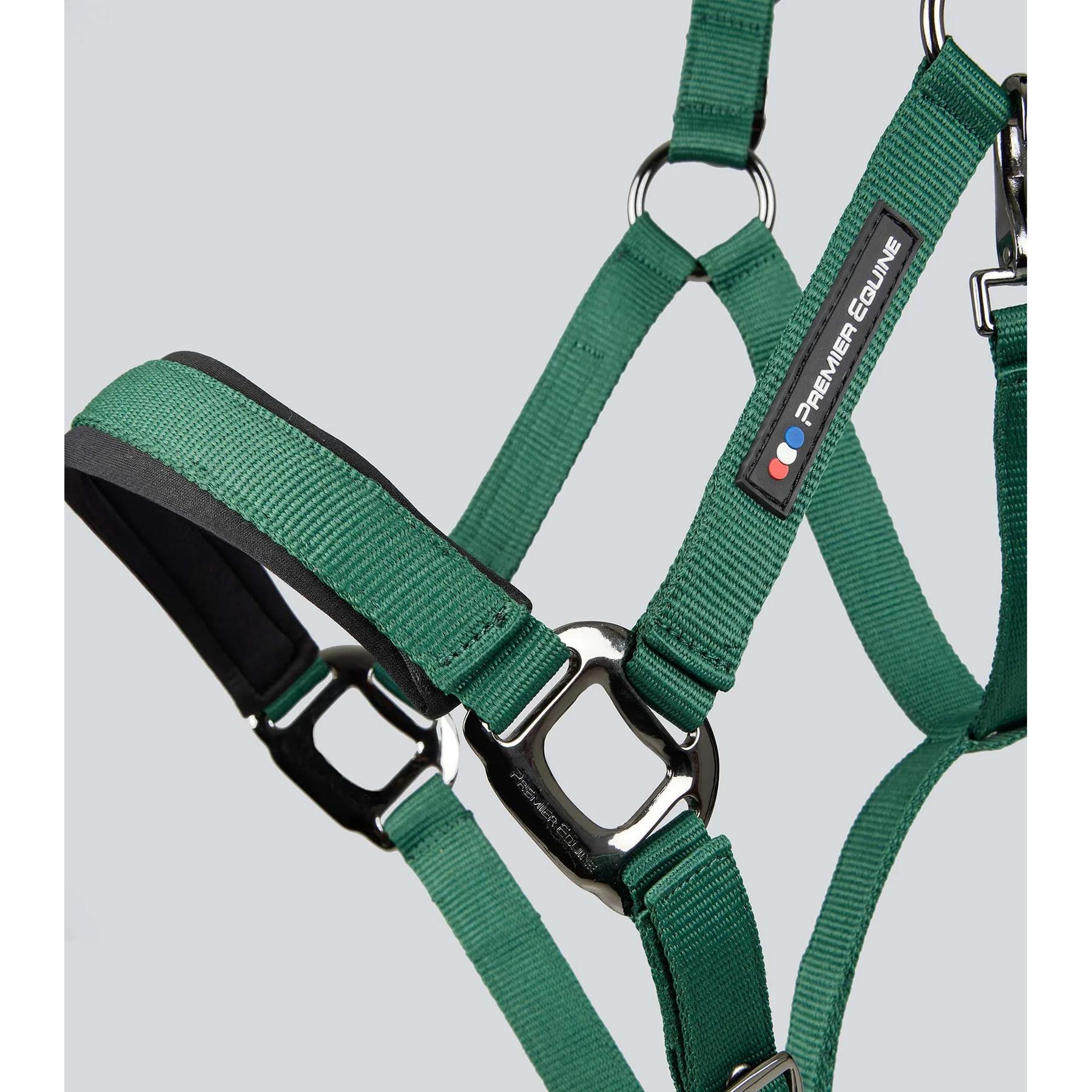 product/p/r/premier-equine_6150cgrn_green_4.jpg