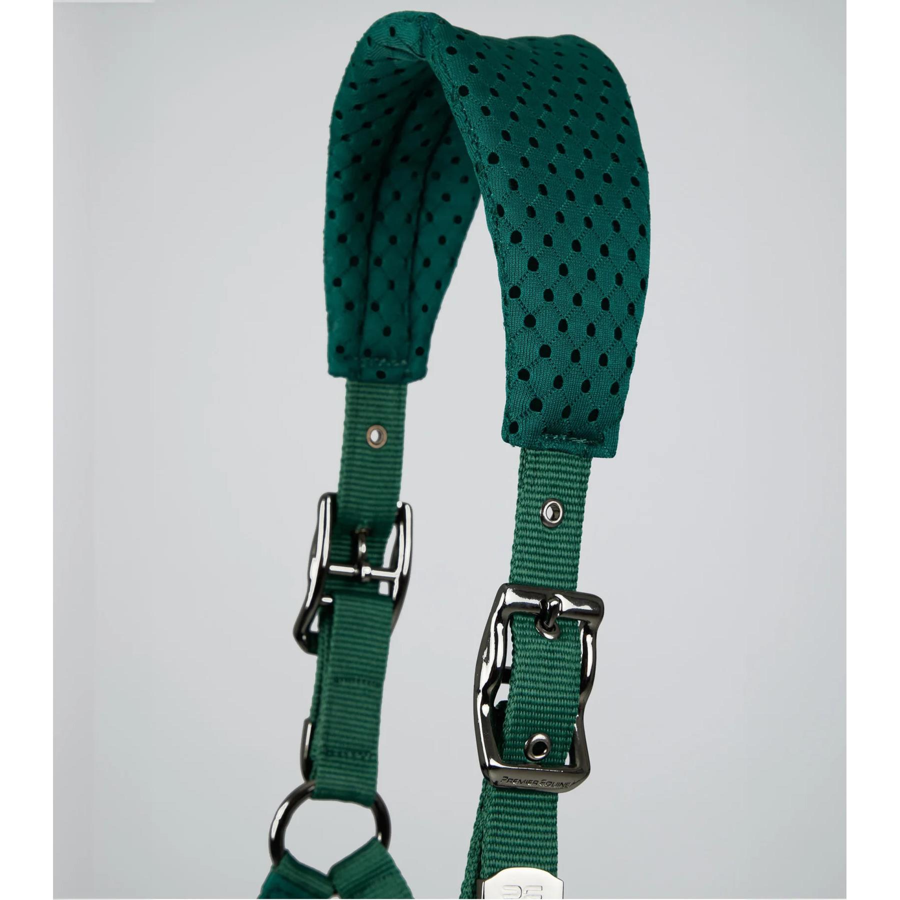 product/p/r/premier-equine_6152cgrn_green_2.jpg