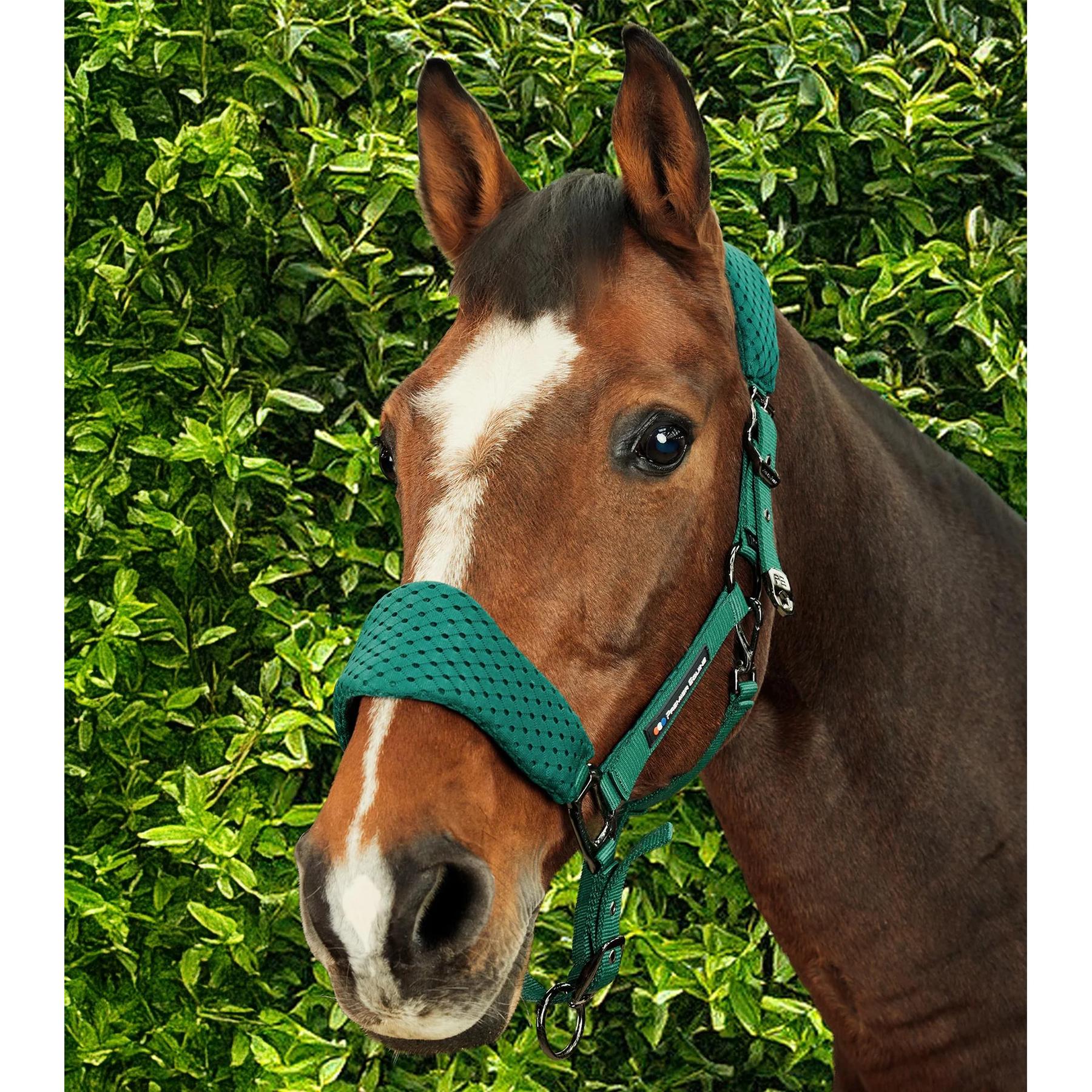 product/p/r/premier-equine_6152cgrn_green_6.jpg