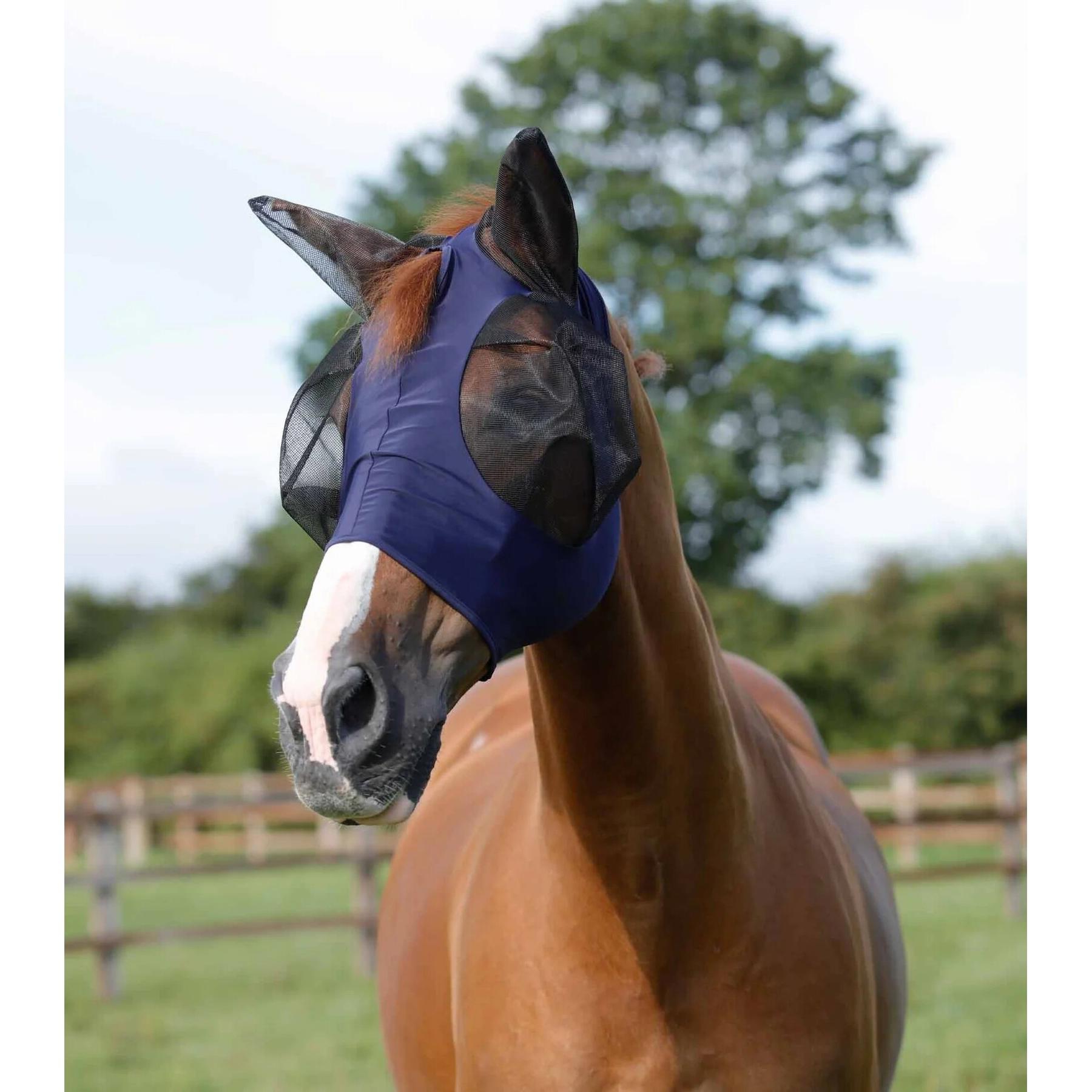 product/p/r/premier-equine_6300sn_1.jpg