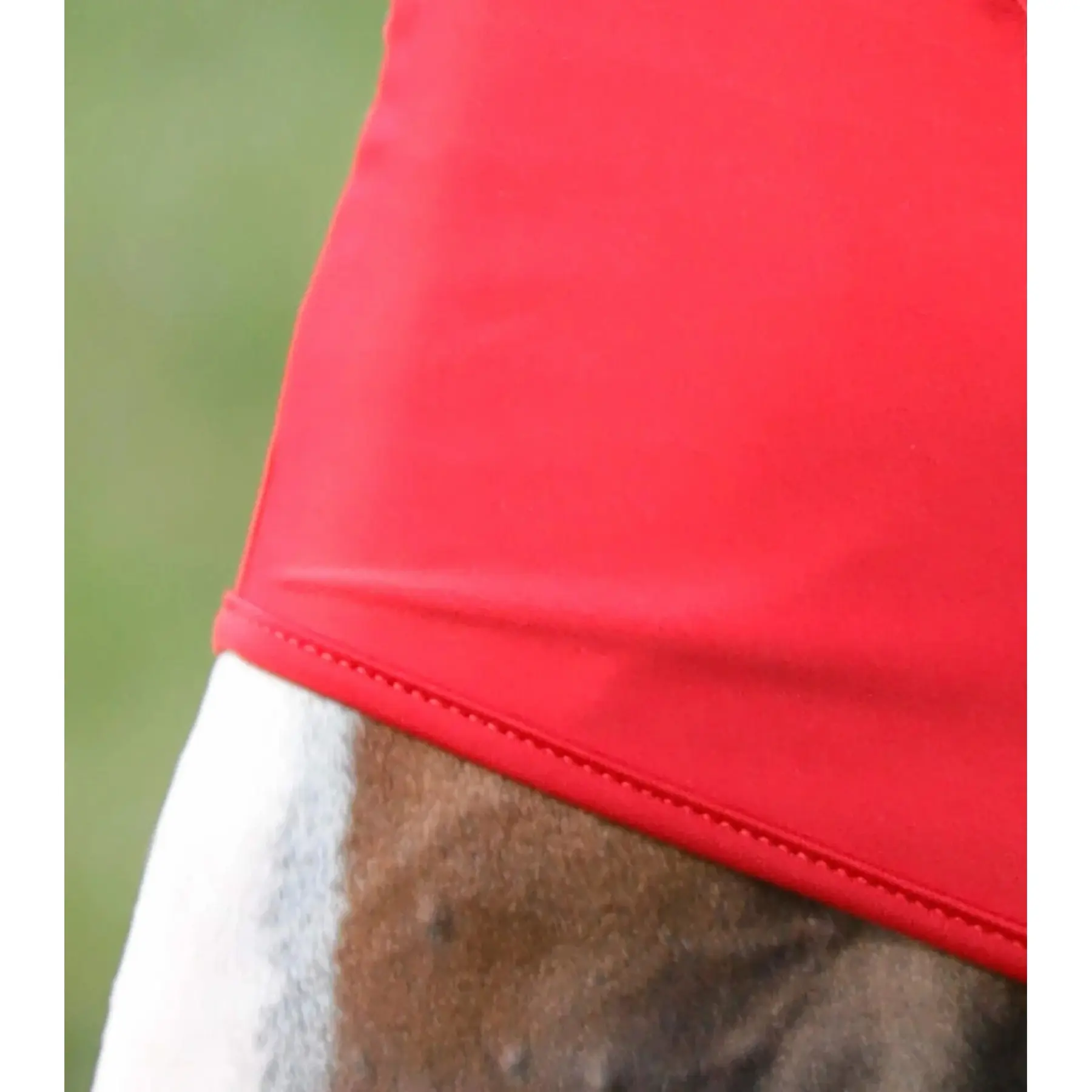 product/p/r/premier-equine_6300sr_3.jpg