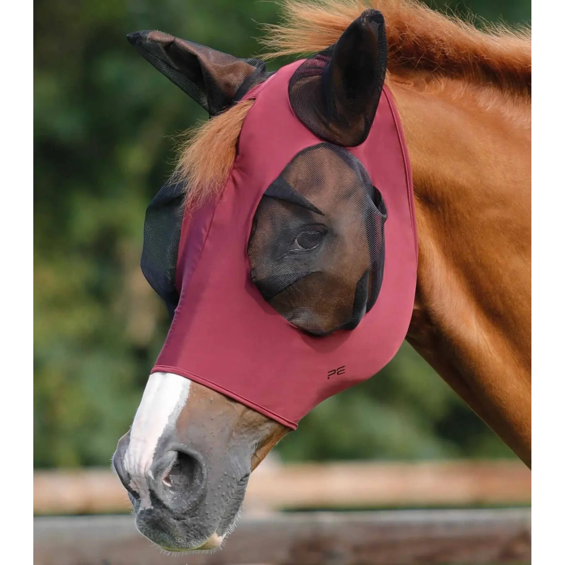product/p/r/premier-equine_6300swne_1.jpg